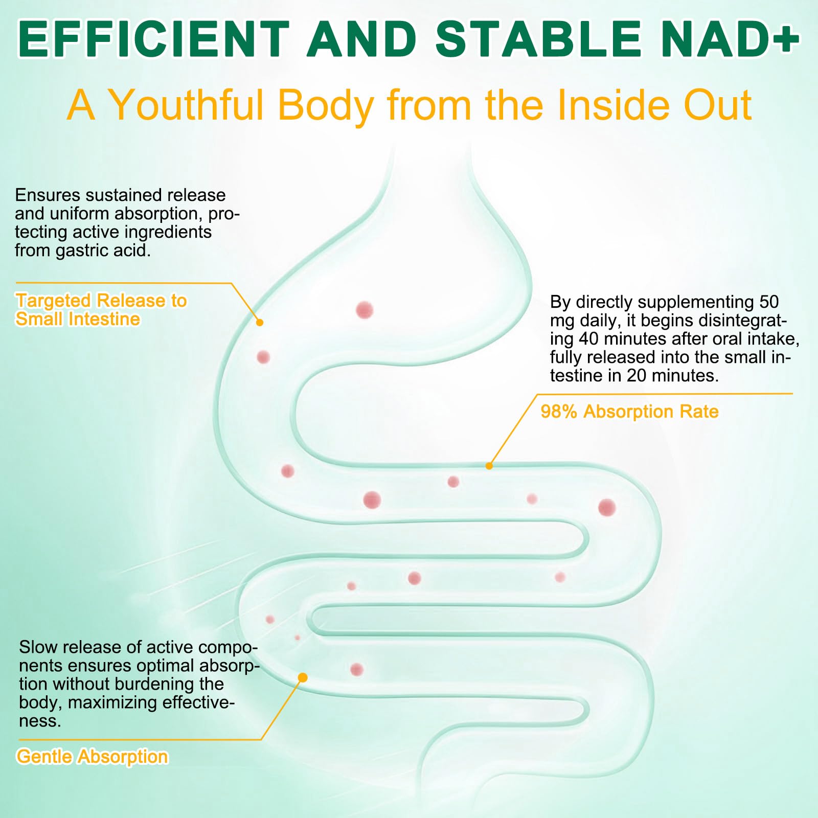 NAD Supplement 120 Capsules, Liposomal Nicotinamide Riboside, Resveratrol, Quercetin, NAD Nicotinamide Riboside Resveratrol 910mg for Women & Men, NAD Supplement for Anti Aging and Cell Regeneration RHBESTOKAu supplements