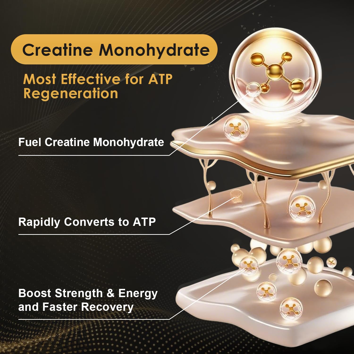 Micronized Creatine Monohydrate for Women and Men, Creatine Powder for Men-Women for Improve Performance and Strength, Support Muscle Growth and Workout Recovery, 6.5g per Servings, 75 Servings NATURE TARGETAu supplements
