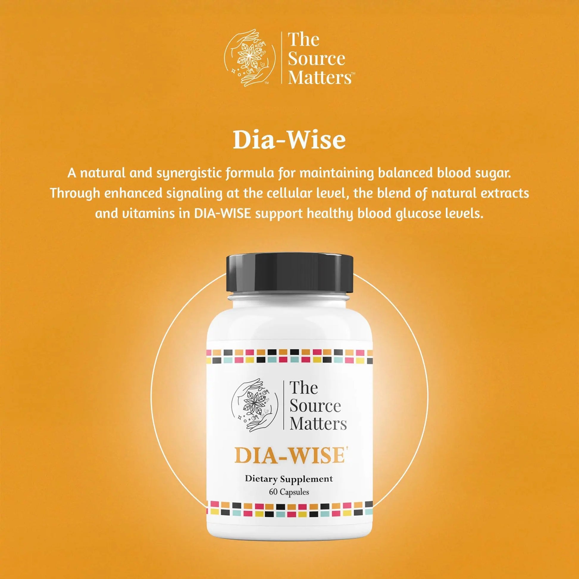 The Source Matters Dia-Wise Metabolic Health Supplement | Alpha Lipoic Acid, Cinnulin Capsules, Biotin, Chromium, Vanadyl Sulfate, Vitamin B for AMPK Activation (60 Count) THE SOURCE MATTERSnz supplements