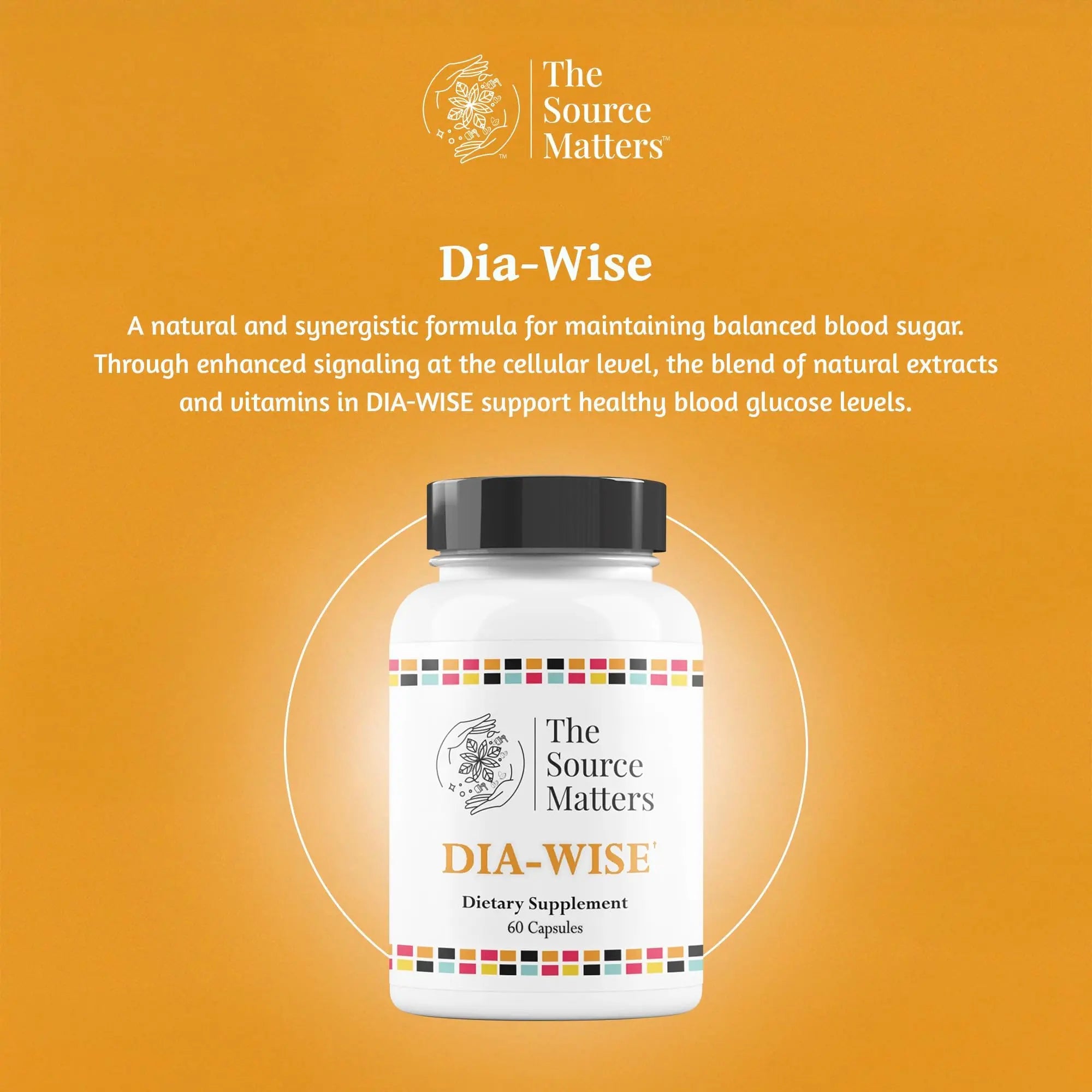 The Source Matters Dia-Wise Metabolic Health Supplement | Alpha Lipoic Acid, Cinnulin Capsules, Biotin, Chromium, Vanadyl Sulfate, Vitamin B for AMPK Activation (60 Count) THE SOURCE MATTERSnz supplements