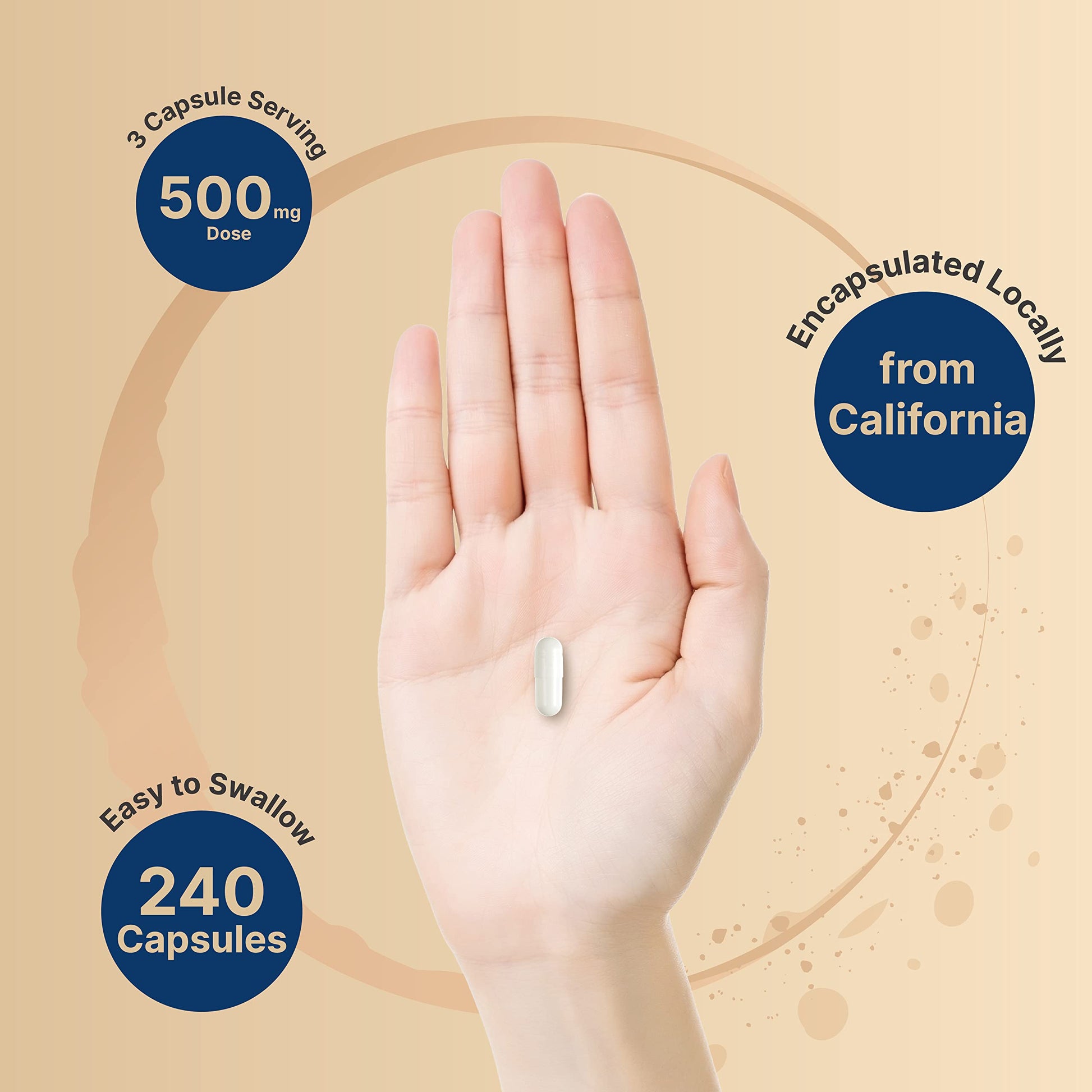 Magnesium Citrate 500mg, 240 Capsules (Citrato de Magnesio) | High Purity Elemental NatureBellAu supplements
