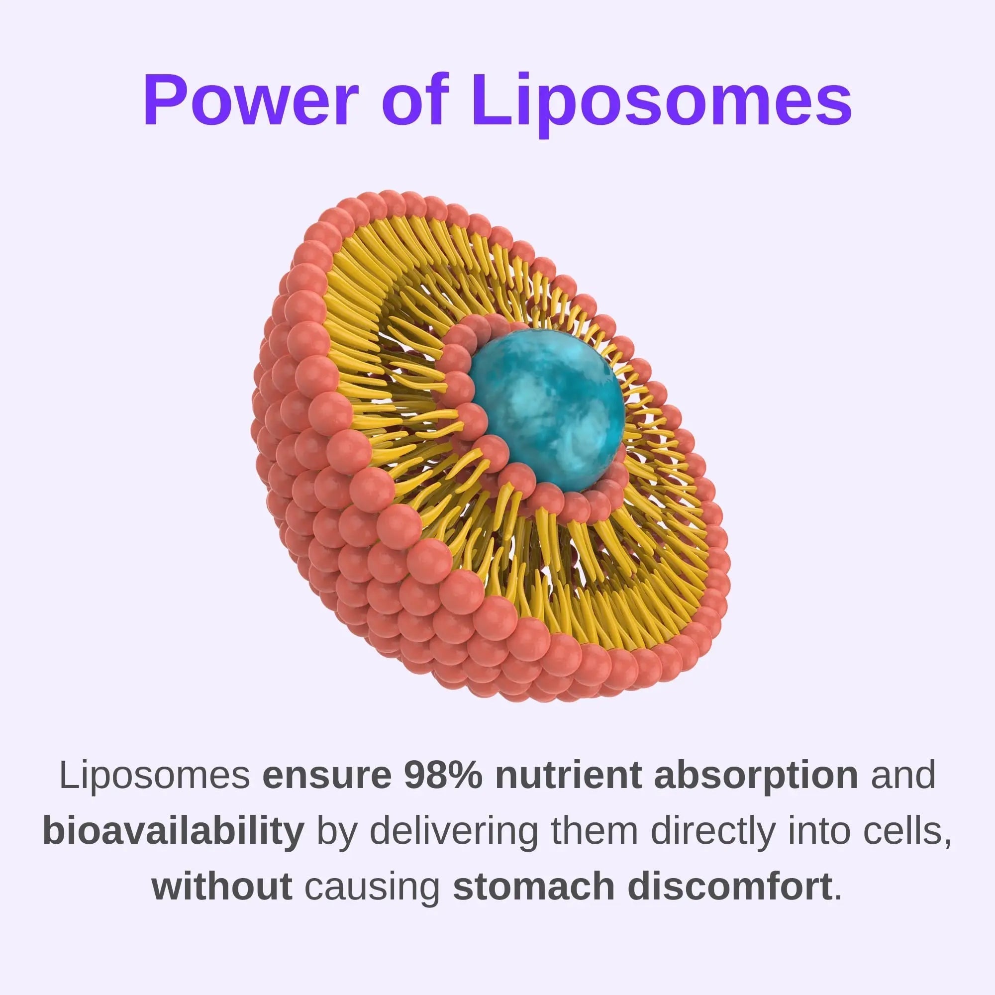 Vitaminally Women's Multivitamin liposomal Liquid Drops with Iron | 30 Day Supply | 3 FL Oz | Non-GMO | Gluten Free | Supports Overall Health, Energy and Beauty VitaminallyAu supplements