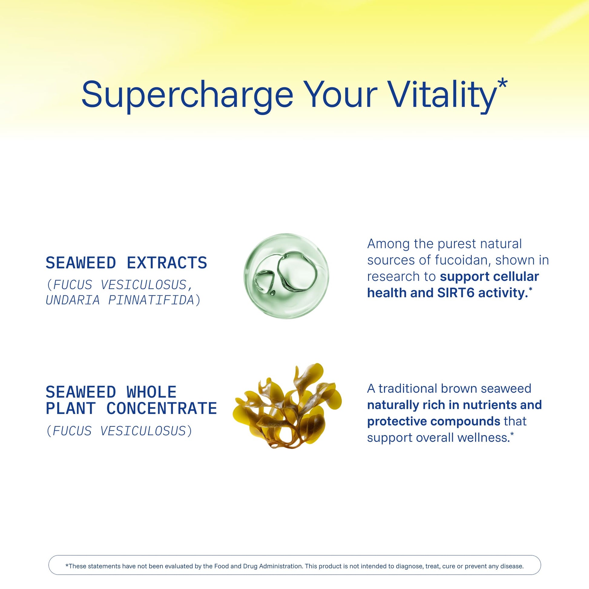 ProHealth Sirtuin 6 Activator | 60 Capsules | Fucoidan-Rich Seaweed Extract to Activate SIRT6 for Longevity, DNA & Cellular Support | Triple Lab-Tested, GMP-Manufactured in USA ProHealthAu supplements