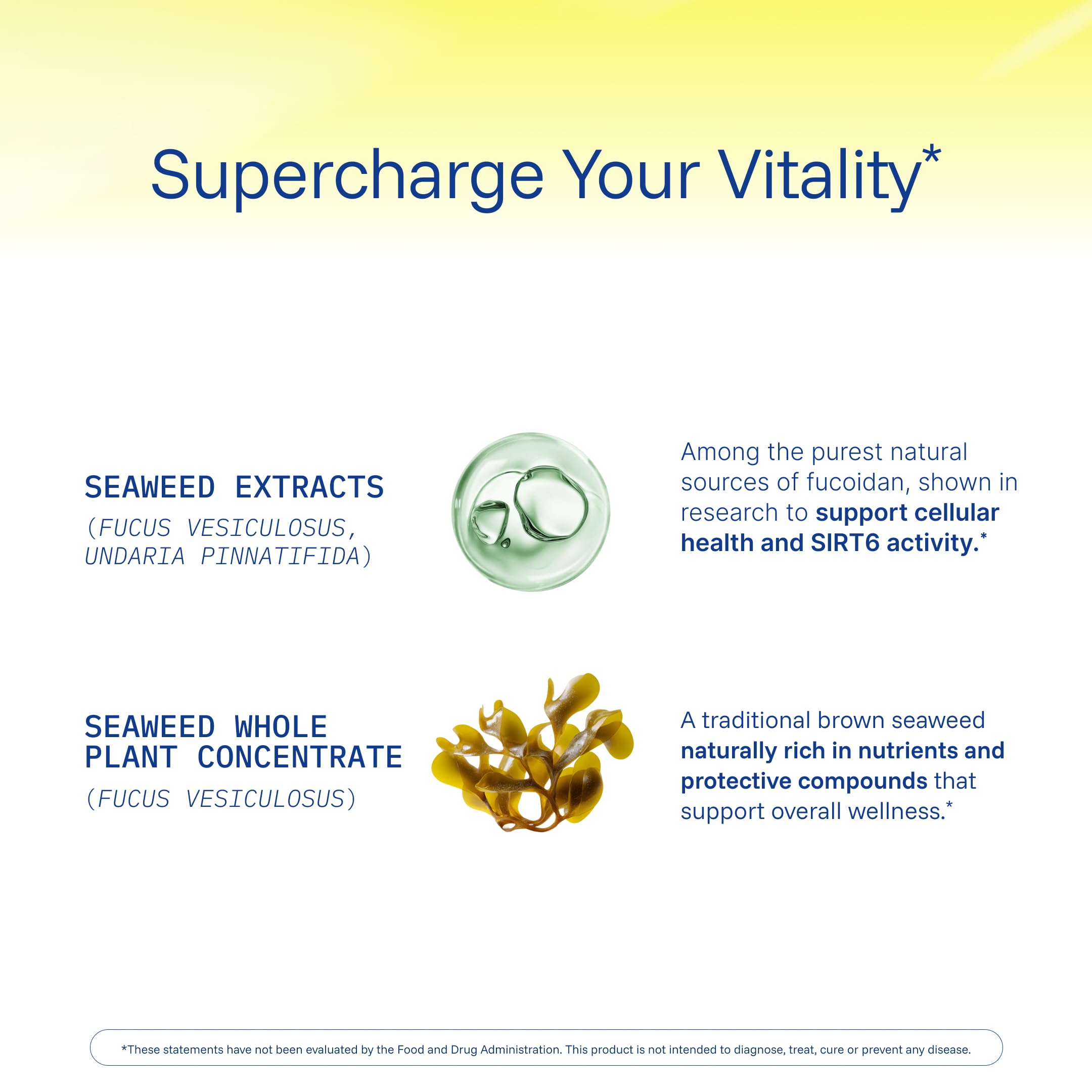 ProHealth Sirtuin 6 Activator | 60 Capsules | Fucoidan-Rich Seaweed Extract to Activate SIRT6 for Longevity, DNA & Cellular Support | Triple Lab-Tested, GMP-Manufactured in USA ProHealthAu supplements