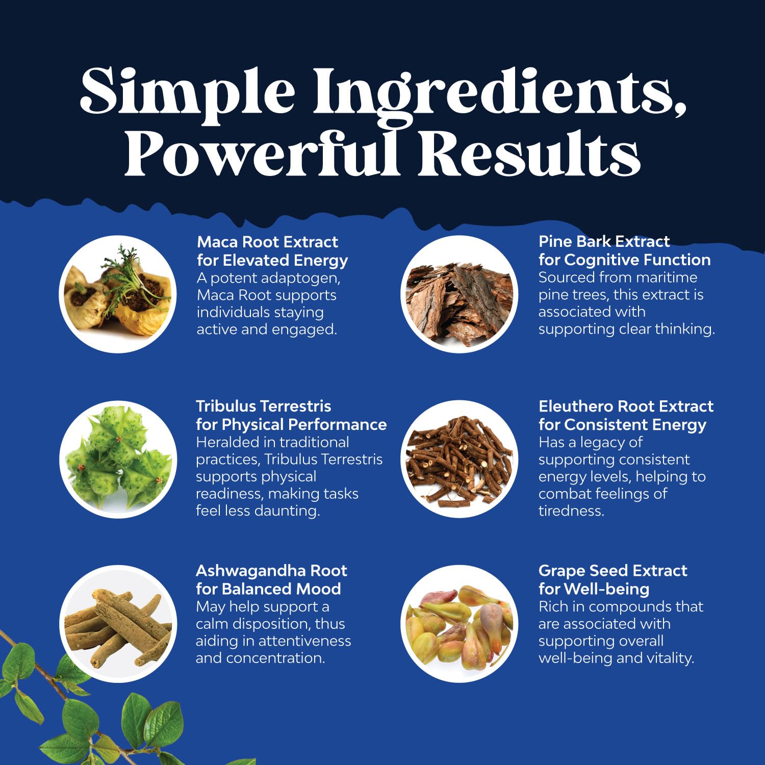 Potent Black Maca Root Capsules for Men - Herbal Wellness Supplement with Siberian Ginseng Ashwagandha and Black Maca Root - Men’s Wellness Supplement to Support General Health - 120 Count Natures CraftAu supplements