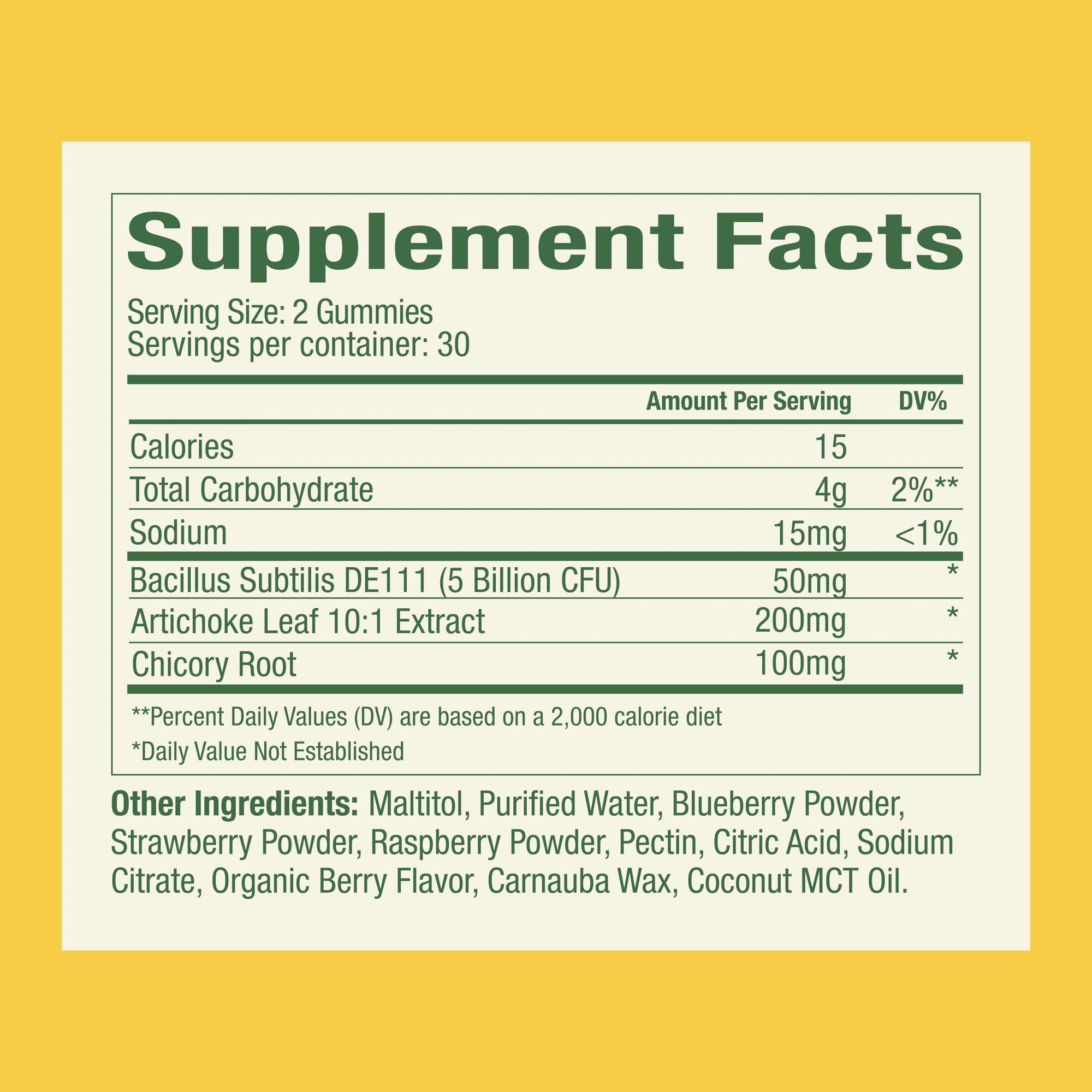 Plant People WonderBiome 2-in-1 Prebiotic + Probiotic Gummies – Zero-Sugar Vegan Digestive Health & Bloating Relief – 5 Billion CFU Bacillus Subtilis DE111 + Artichoke & Chicory – 60 Count Plant PeopleAu supplements