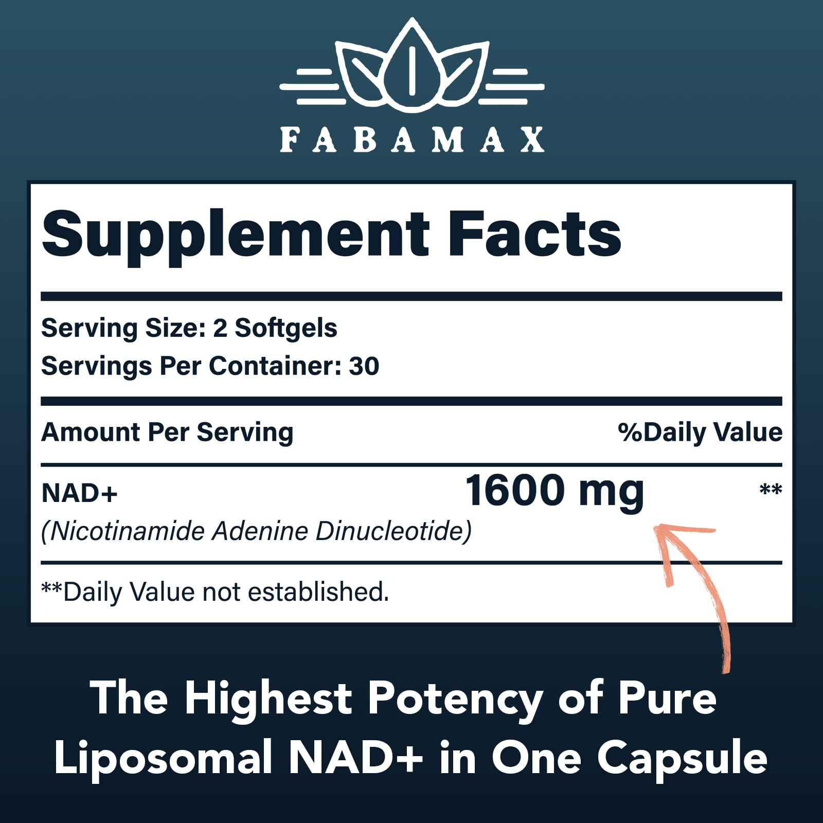 Fabamax 1600 mg Liposomal NAD Supplement, 98% Pure NAD+ Supplement, Superior Absorption, Alternative to Nicotinamide Riboside or NADH to Boost NAD+ for Aging Defense, Energy, Longevity, 120 Softgels FabamaxAu supplements