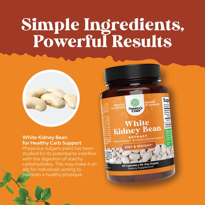 Natural White Kidney Bean Extract - White Kidney Bean Energy Booster AMPK Activator Natures CraftUS supplements