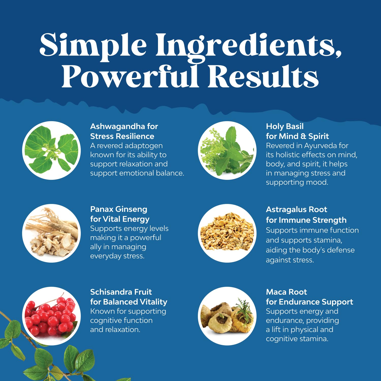 Herbal Adaptogen Mood Support Supplement - Calming Adaptogens Supplement for Stress & Cortisol Management with Ashwagandha Rhodiola Rosea & Maca Root - Vegan & Daytime Friendly - 60 Count Natures CraftAu supplements