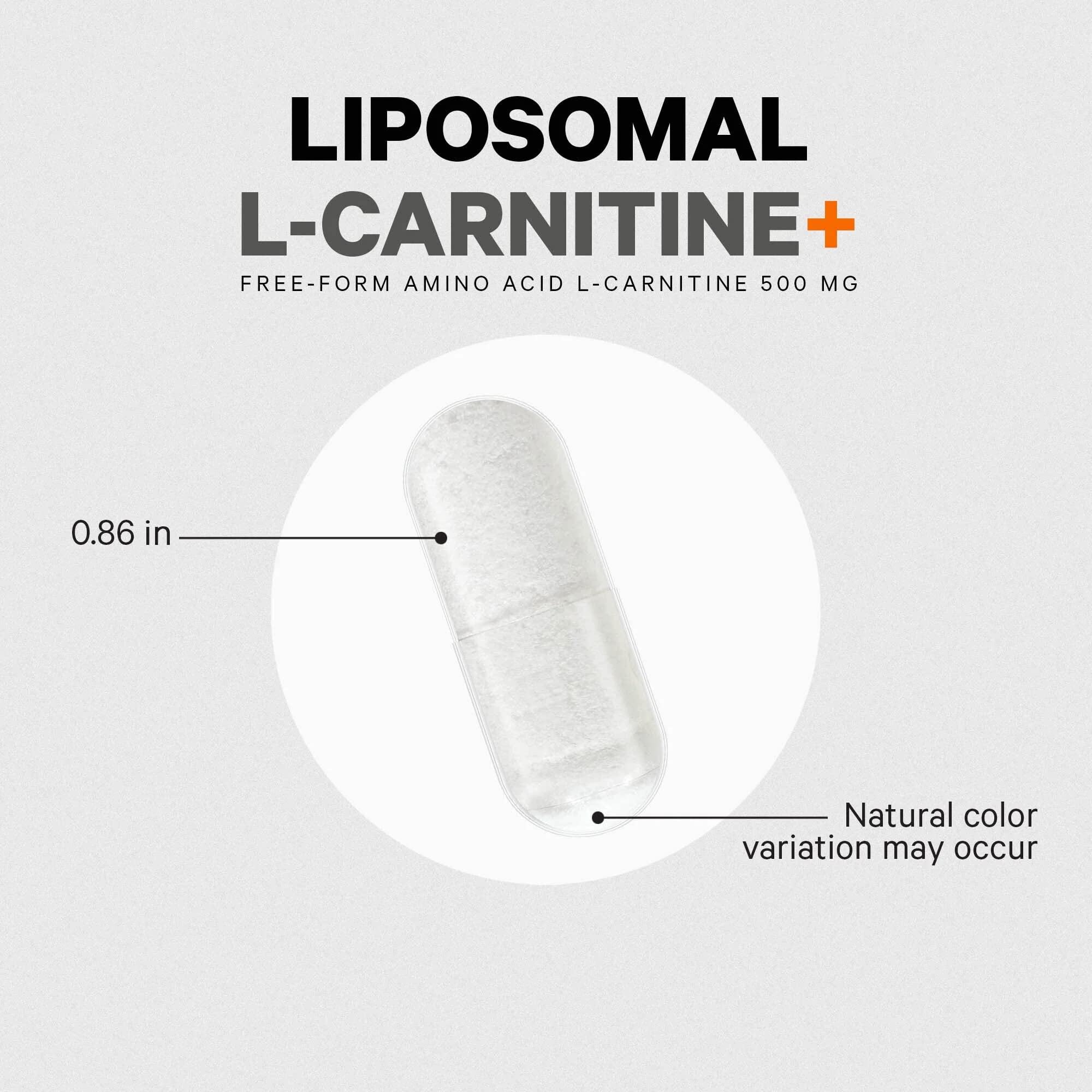 Codeage Liposomal L-Carnitine+ Supplement - 500 mg L-Carnitine L-Tartrate per Serving - Free-Form Amino Acid - Carnitine - Liposomal Delivery - Vegan, Non-GMO, Gluten-Free - 90 Capsules CodeageAu supplements