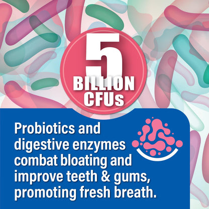 Probiotiv Chewable Probiotics for Daily Bloating w/ 5 Billion CFU – “Two-in-One Combo” ProbiotivUS supplements
