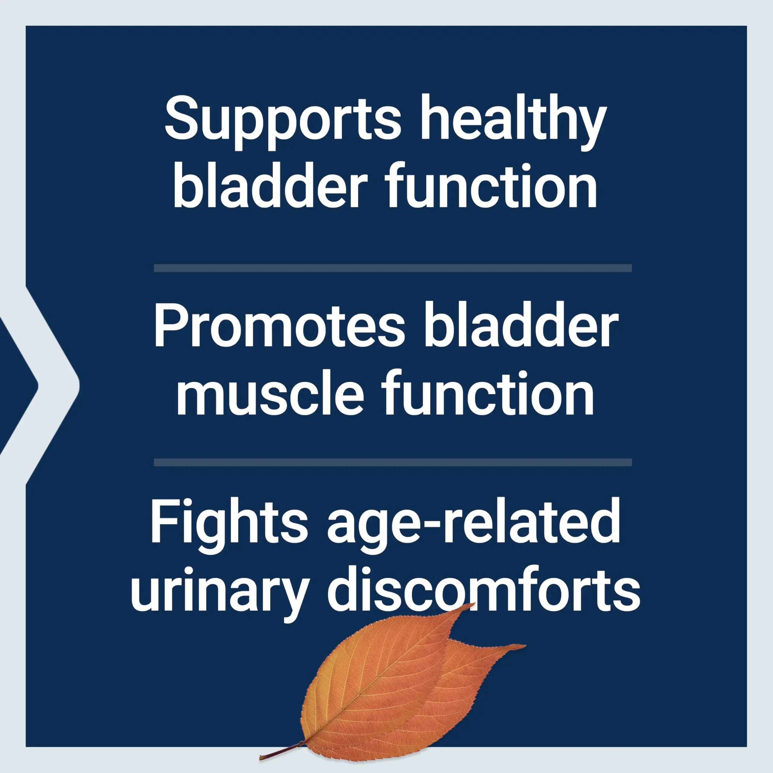 Life Extension Water-Soluble Pumpkin Seed Extract, Promotes Prostate & Urinary Tract Health, Bladder Health Support, Men, Women, Gluten-Free, Non-GMO, Vegetarian, 60 Capsules Life ExtensionAu supplements