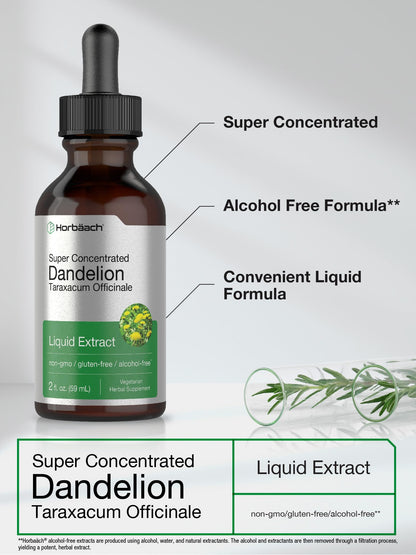 Dandelion Root Extract | 2 fl oz | Super Concentrated | Alcohol Free Liquid Tincture HorbäachUS supplements