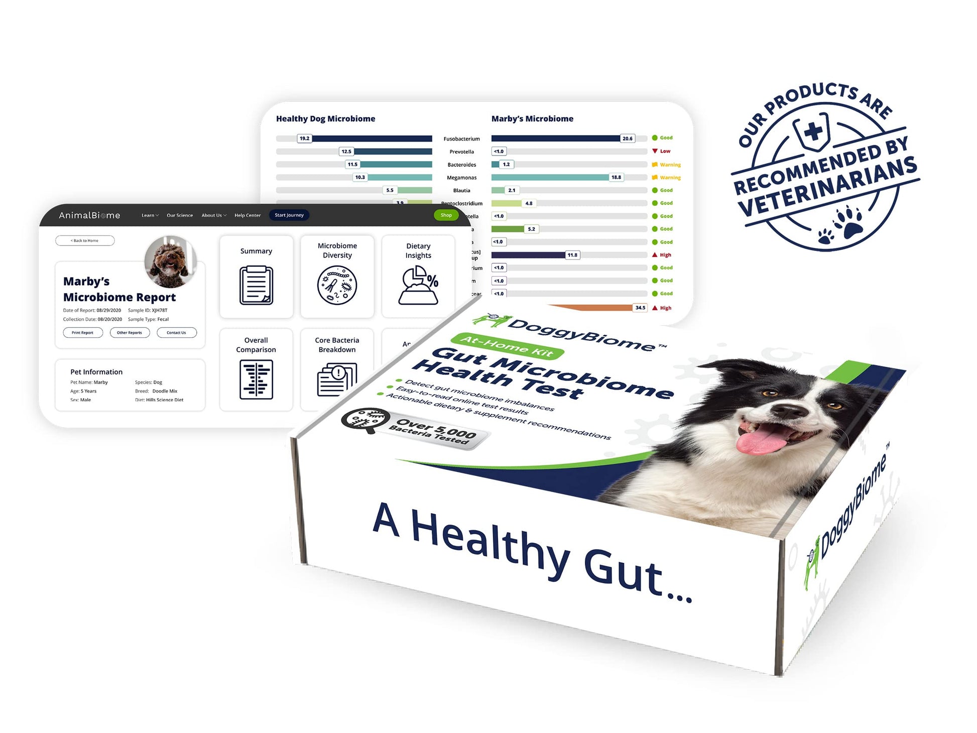 AnimalBiome Dog Gut Health Test – DoggyBiome At Home Stool Testing Kit, Canine Fecal Analysis for Digestive Issues, Diarrhea & Allergy Insights w/Personalized Report & Custom Plan (Dogs in US) AnimalBiomeAu supplements