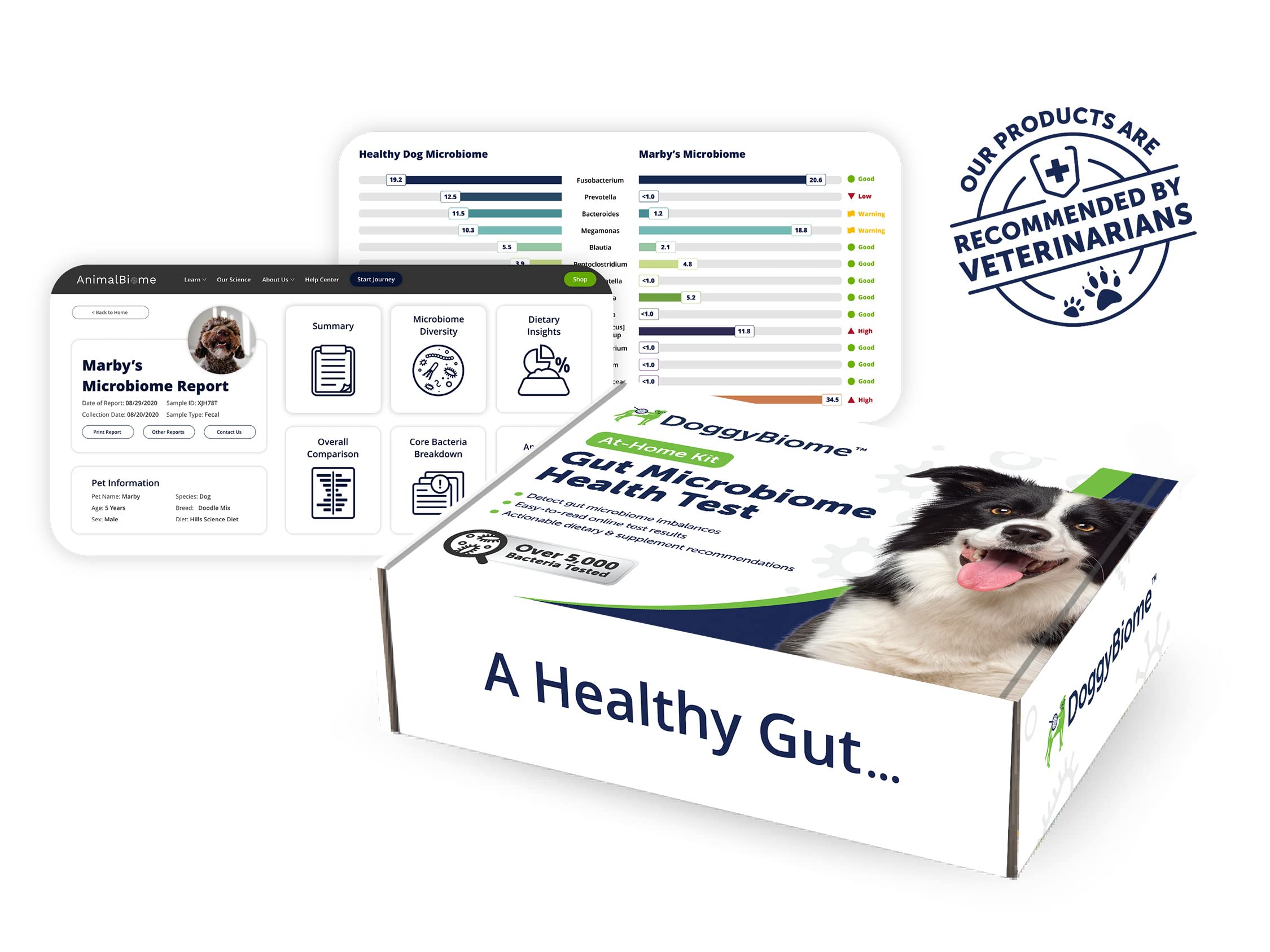 AnimalBiome Dog Gut Health Test – DoggyBiome At Home Stool Testing Kit, Canine Fecal Analysis for Digestive Issues, Diarrhea & Allergy Insights w/Personalized Report & Custom Plan (Dogs in US) AnimalBiomeAu supplements