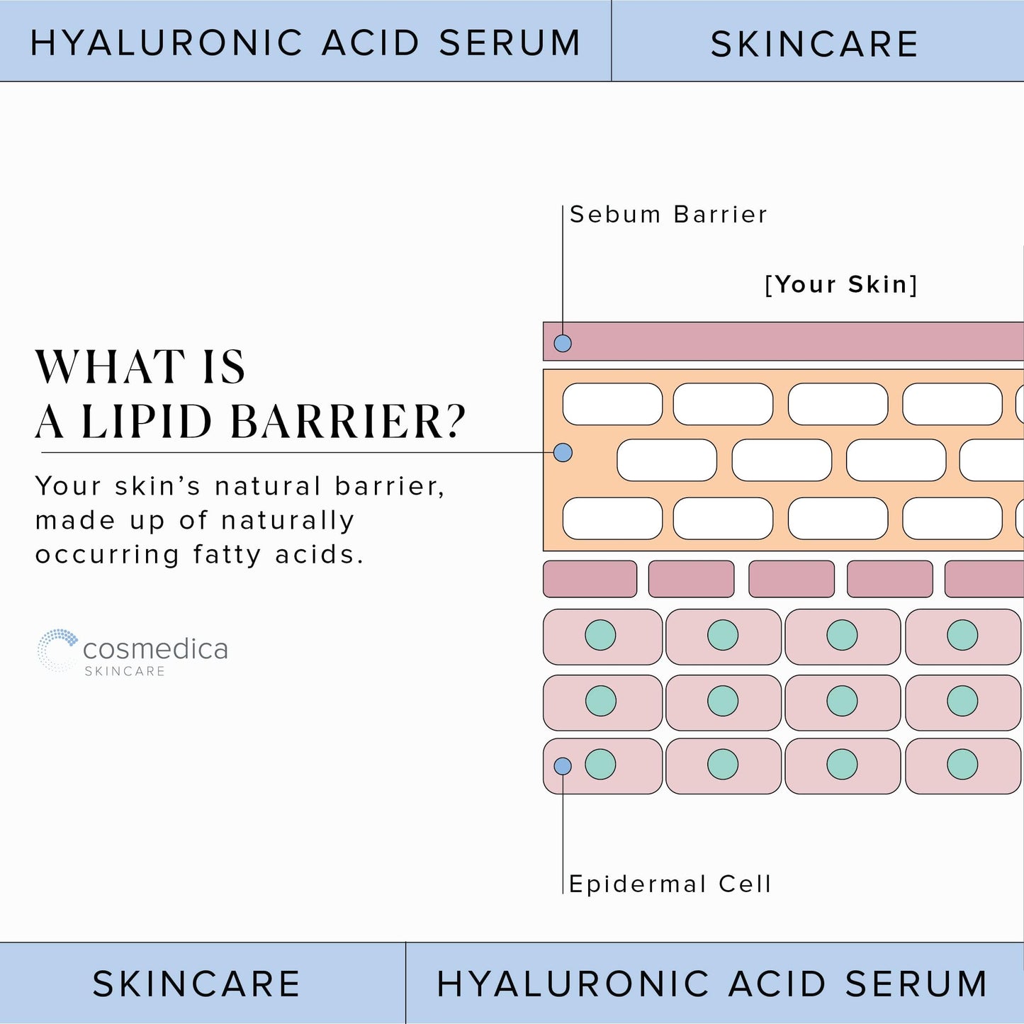Hyaluronic Acid Serum for Skin 100% Pure Anti Aging Serum Intense Hydration Cosmedica SkincareUS supplements
