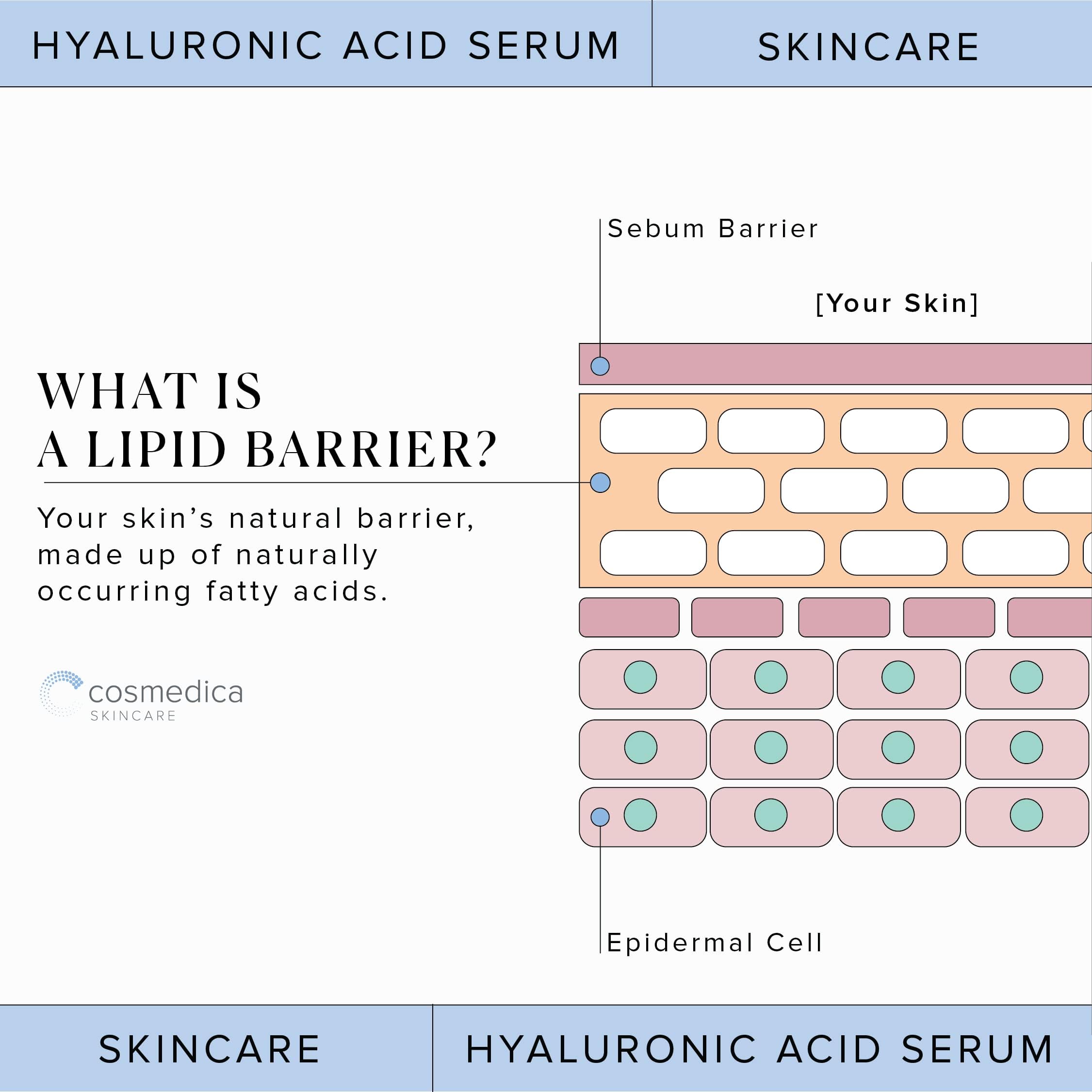Hyaluronic Acid Serum for Skin 100% Pure Anti Aging Serum Intense Hydration Cosmedica SkincareUS supplements