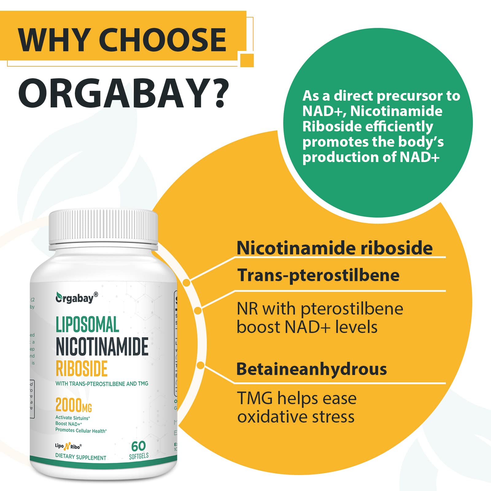 Liposomal Nicotinamide Riboside 2000 MG with TMG and Pterostilbene, Similar to NMN Supplements Boost NAD+, Support Healthy Aging, 240 Count OrgabayAu supplements