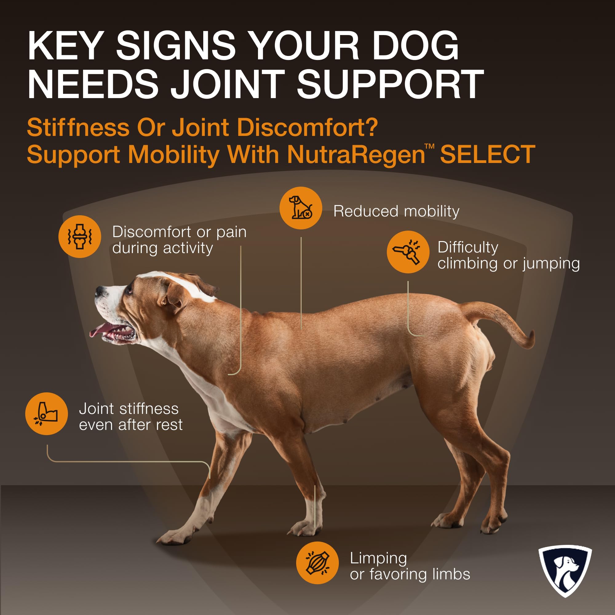 NutraRegen Select Senior Dog Joint Supplement 45 Scoops | Natural Glucosamine Chondroitin for Dogs with Collagen | Hip and Joint Powder | 7.7 Oz NutraRegenAu supplements