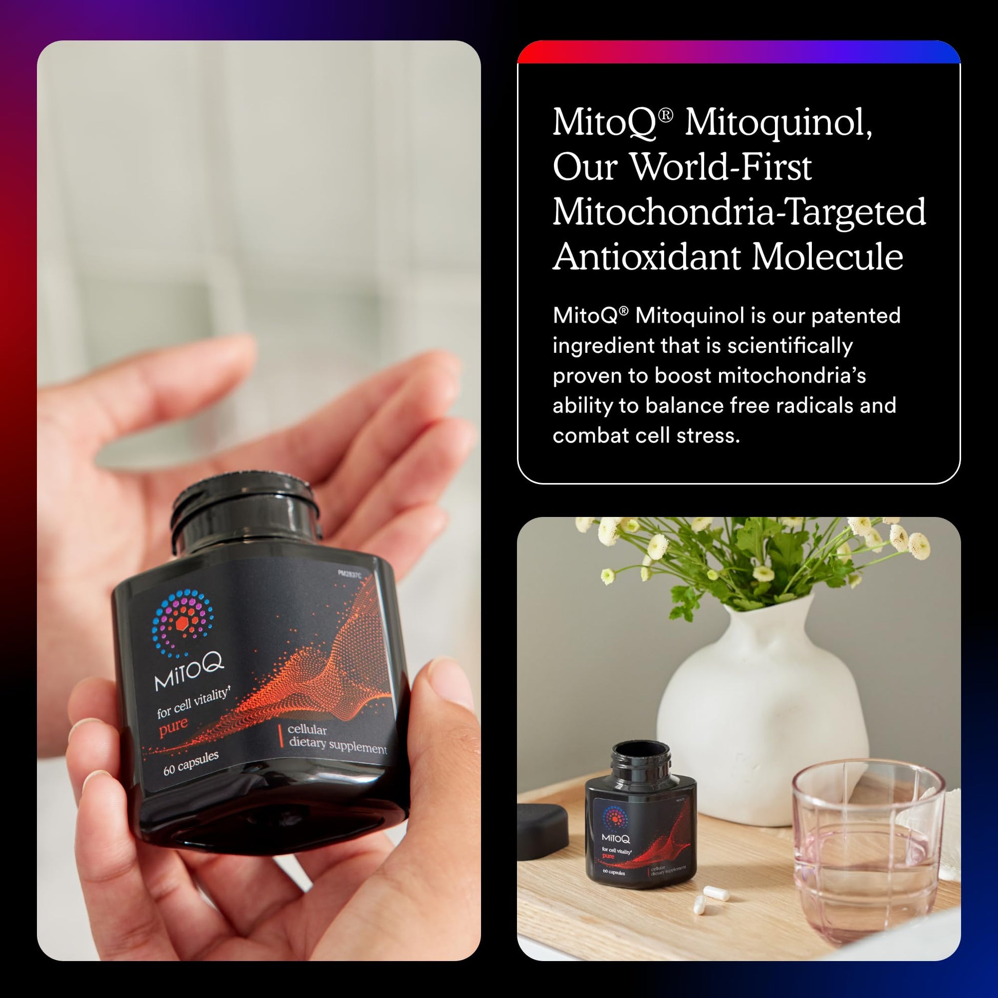 MitoQ Pure Advanced Mitochondria Supplement Superior Bioavailability to CoQ10 | Reduces Free Radical Damage for Healthy Aging, Metabolism, Heart Health, Energy, Strength & Mobility MitoQAu supplements