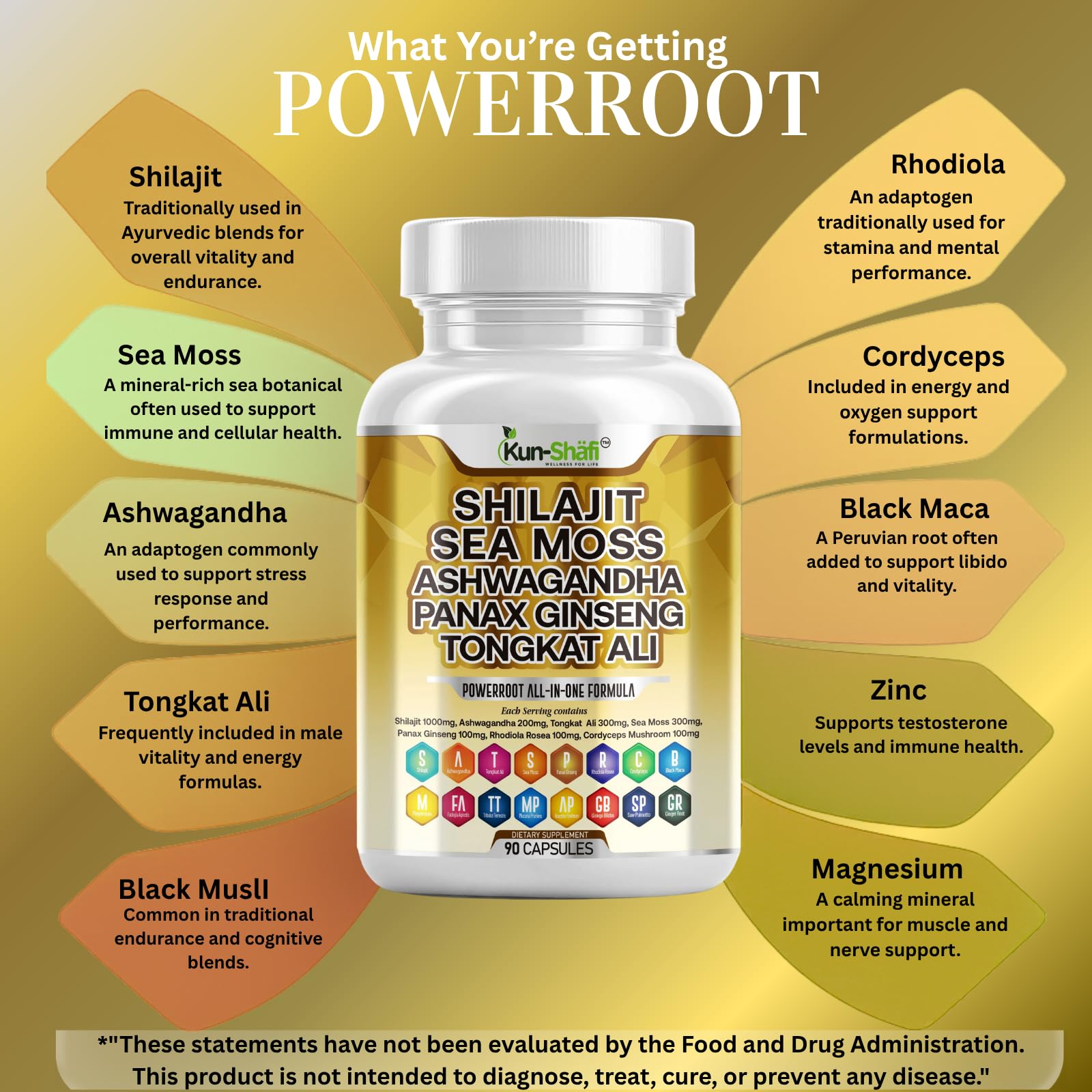 Kun Shafi Shilajit Complex – Sea Moss, Tongkat Ali, Ashwagandha, Ginseng, Zinc, CoQ10, PQQ & Magnesium – Fulvic Acid Capsules for Energy, Vitality & Performance with Panax Cordyceps – 90 Capsules Kun ShafiAu supplements