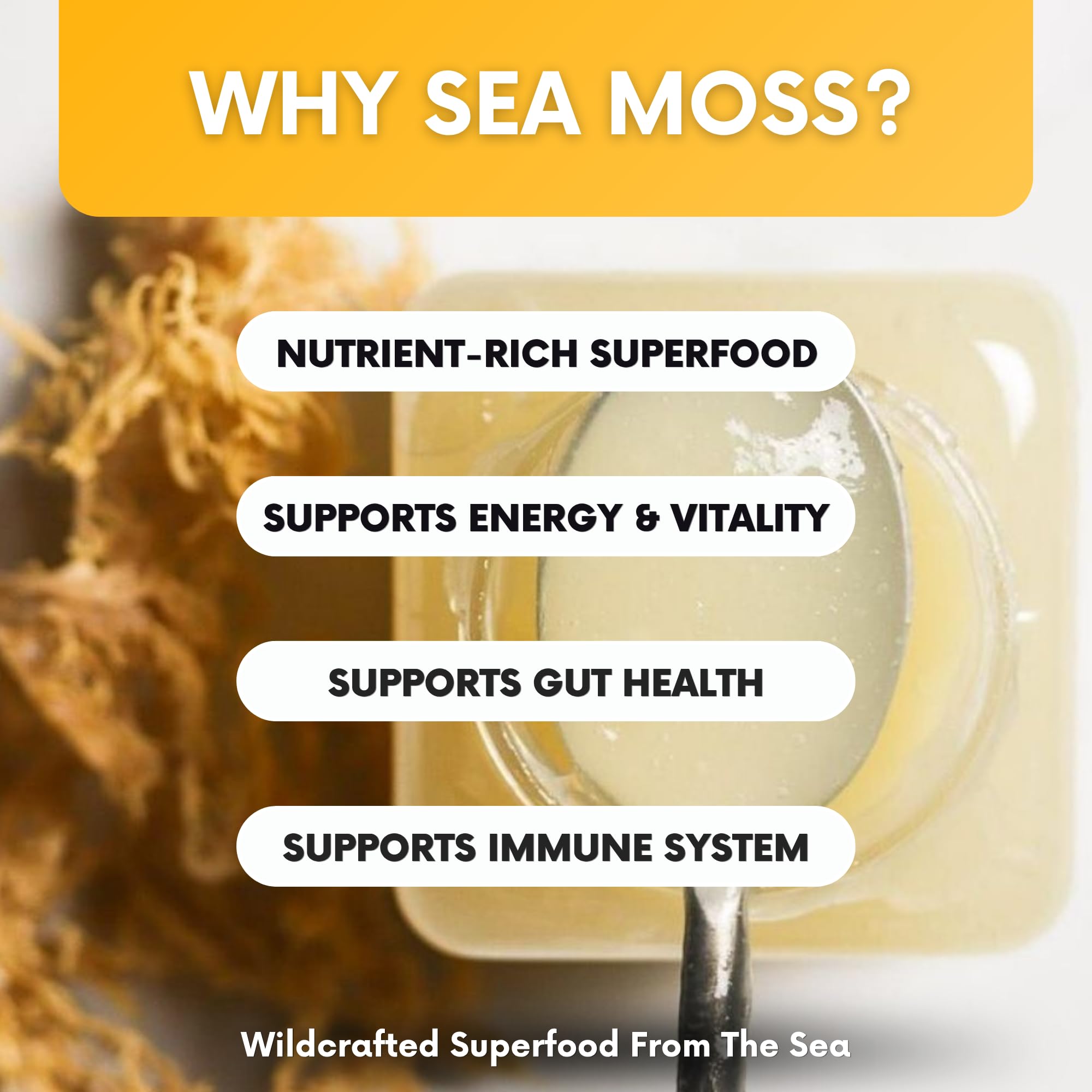 Joy Sea Moss Wildcrafted Irish Sea Moss Gel 16 oz | Made in USA | Gold Seamoss Superfood | Rich in Vitamins & Minerals | Real Fruit | Nutritional Supplement | Mango Joy Sea MossAu supplements