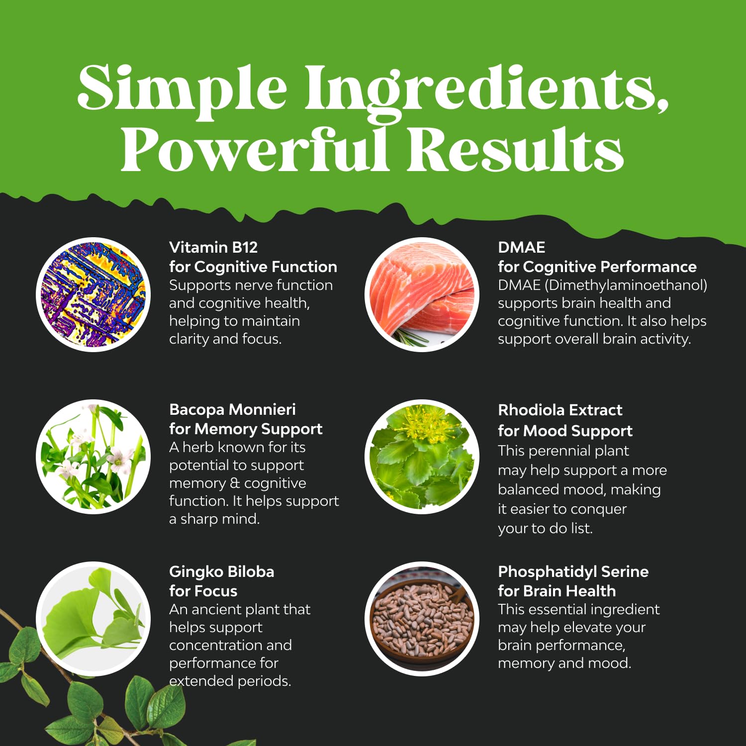 Nootropic Memory Supplement for Brain Support - Memory Pills for Brain Boost and Natural Energy Booster - Vitamin B 12 Bacopa Monnieri Rhodiola Rosea DMAE Ginkgo Biloba Phosphatidylserine Supplement Natures CraftAu supplements