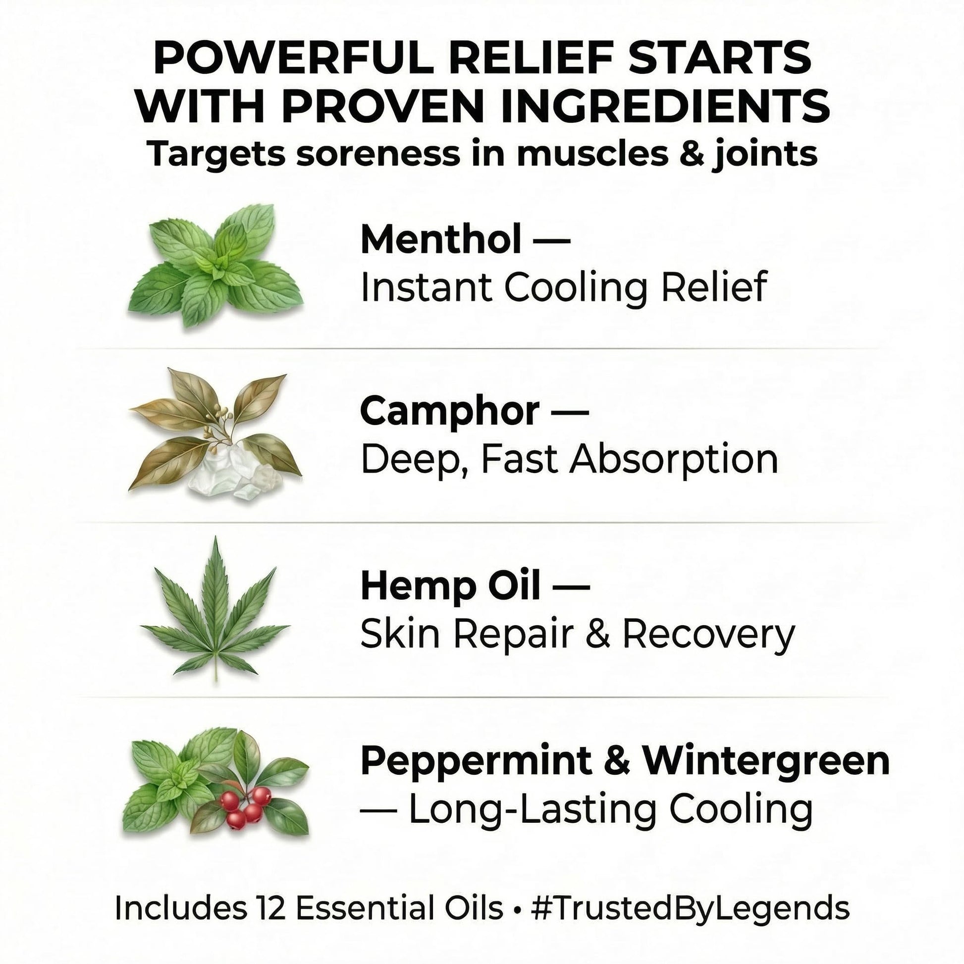 ZEN Hemp Balm 3 Pack – Fast-Acting Pain Relief for Muscles & Joints – Plant-Based Topical – 0.7 oz Each ZENAu supplements