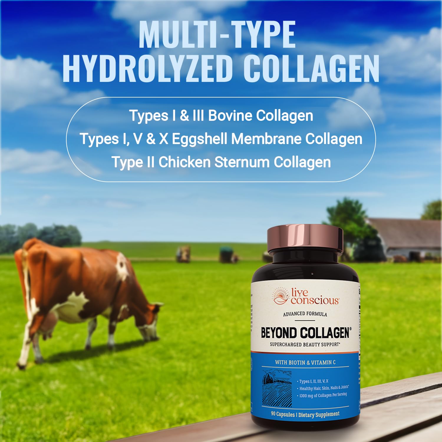 Live Conscious Beyond Collagen Multi Collagen Capsules - Types I, II, III, V & X - Hydrolyzed Blend with Biotin & Vitamin C for Hair, Skin, Nails 90 Capsules Live ConsciousAu supplements