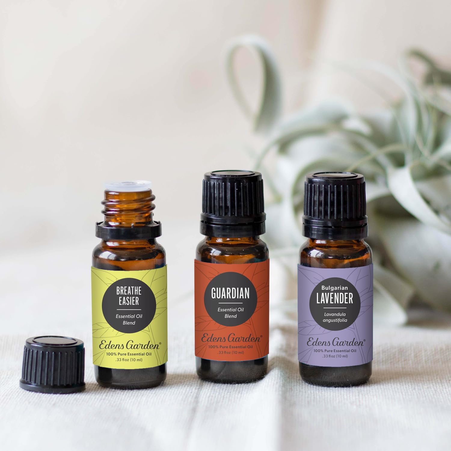 Edens Garden Essential Oil Well-Being Set, 3 Pure Essential Oils for Diffusers for Home Edens GardenAu supplements
