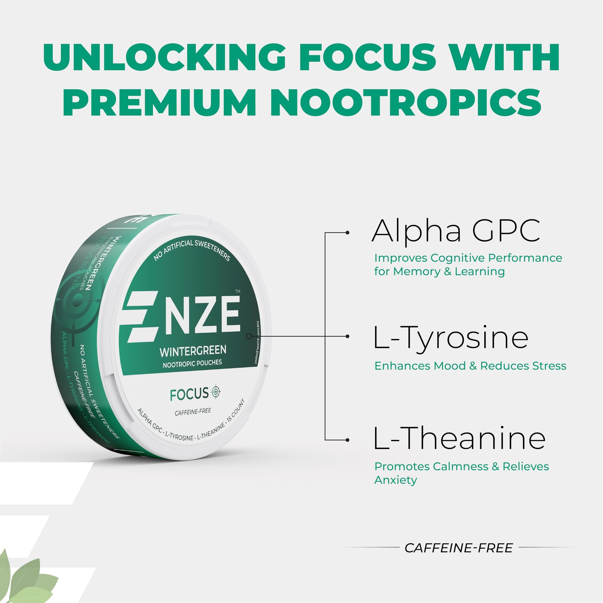 NZE Caffeine Free Nootropic Pouches (Wintergreen) - Nootropic Pouches with Alpha GPC, L-Tyrosine & L-Theanine - No Sugar or Artificial Sweeteners - 15 Pouches Per Can - 5 Pack NZEAu supplements
