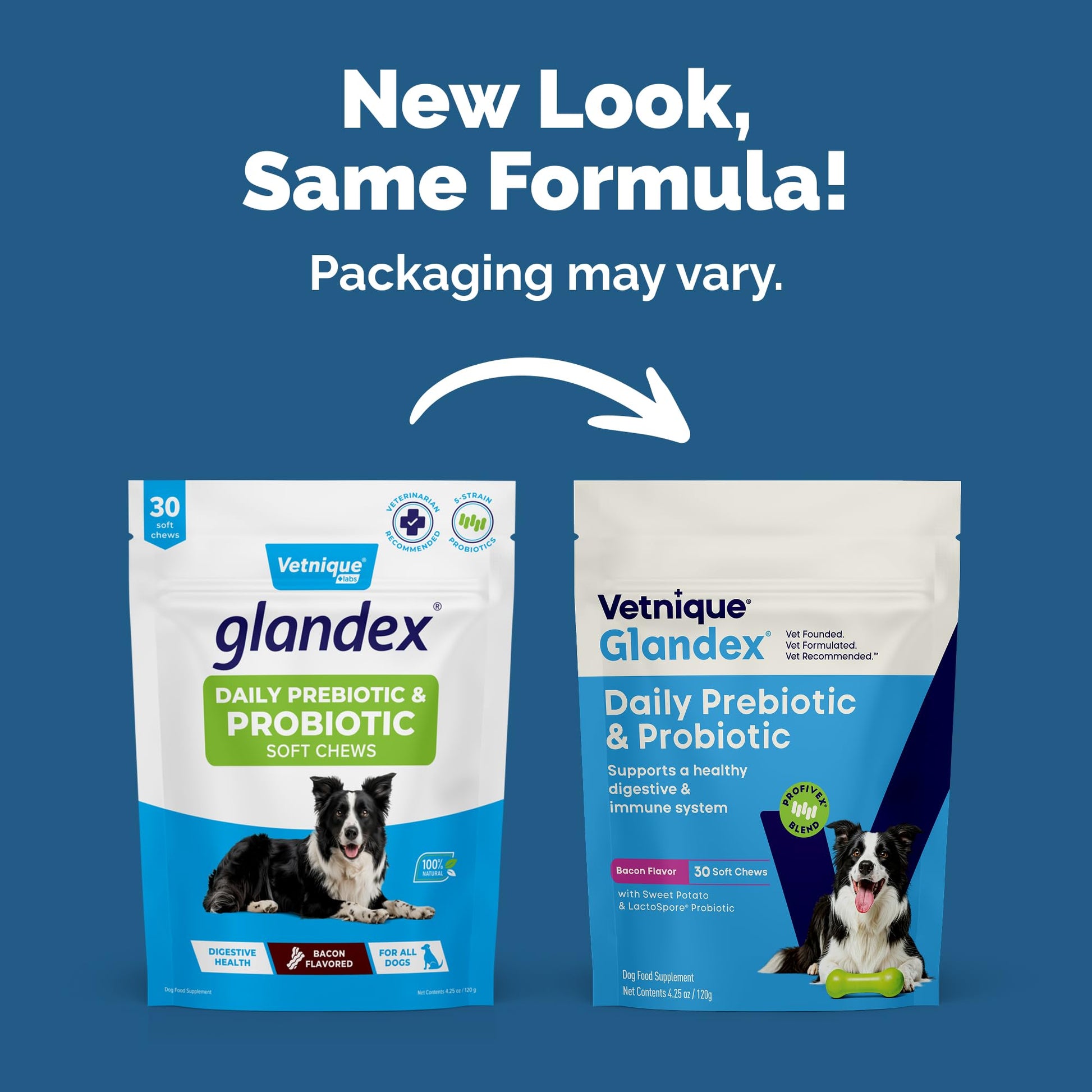 Vetnique Glandex Daily Probiotics for Dogs with Prebiotics to Support Gut Health with Fiber and Digestive Enzymes, Dog Probiotic Chews or Powders (30ct Chews, Bacon Chews) VetniqueAu supplements