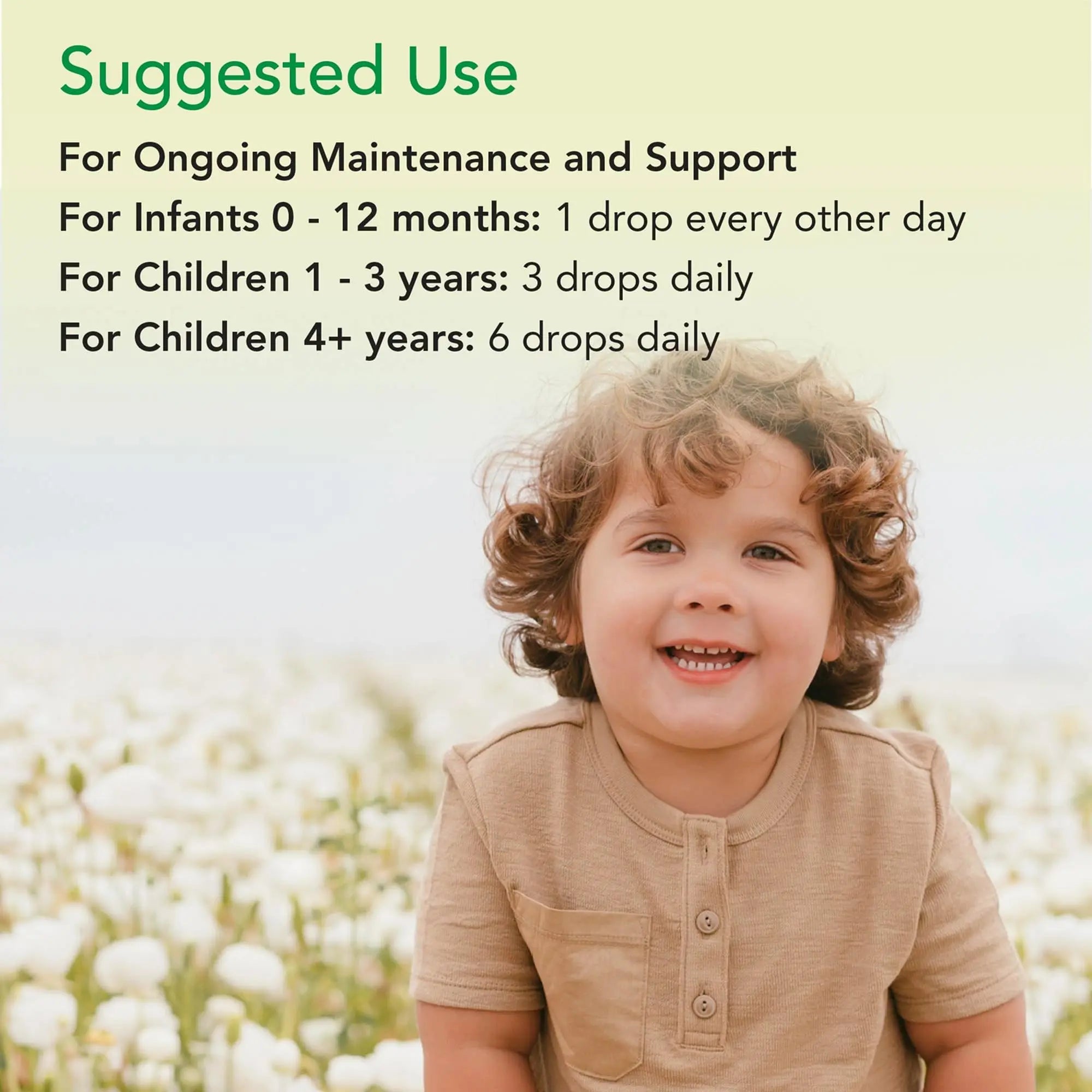 CHILDLIFE Essentials Organic Vitamin K2 Drops - Infant Toddler Baby Vitamin K, K2 Supplement, Vitamin K2 MK7, Liquid K2, Vitamin K Drops CHILDLIFE ESSENTIALSAu supplements