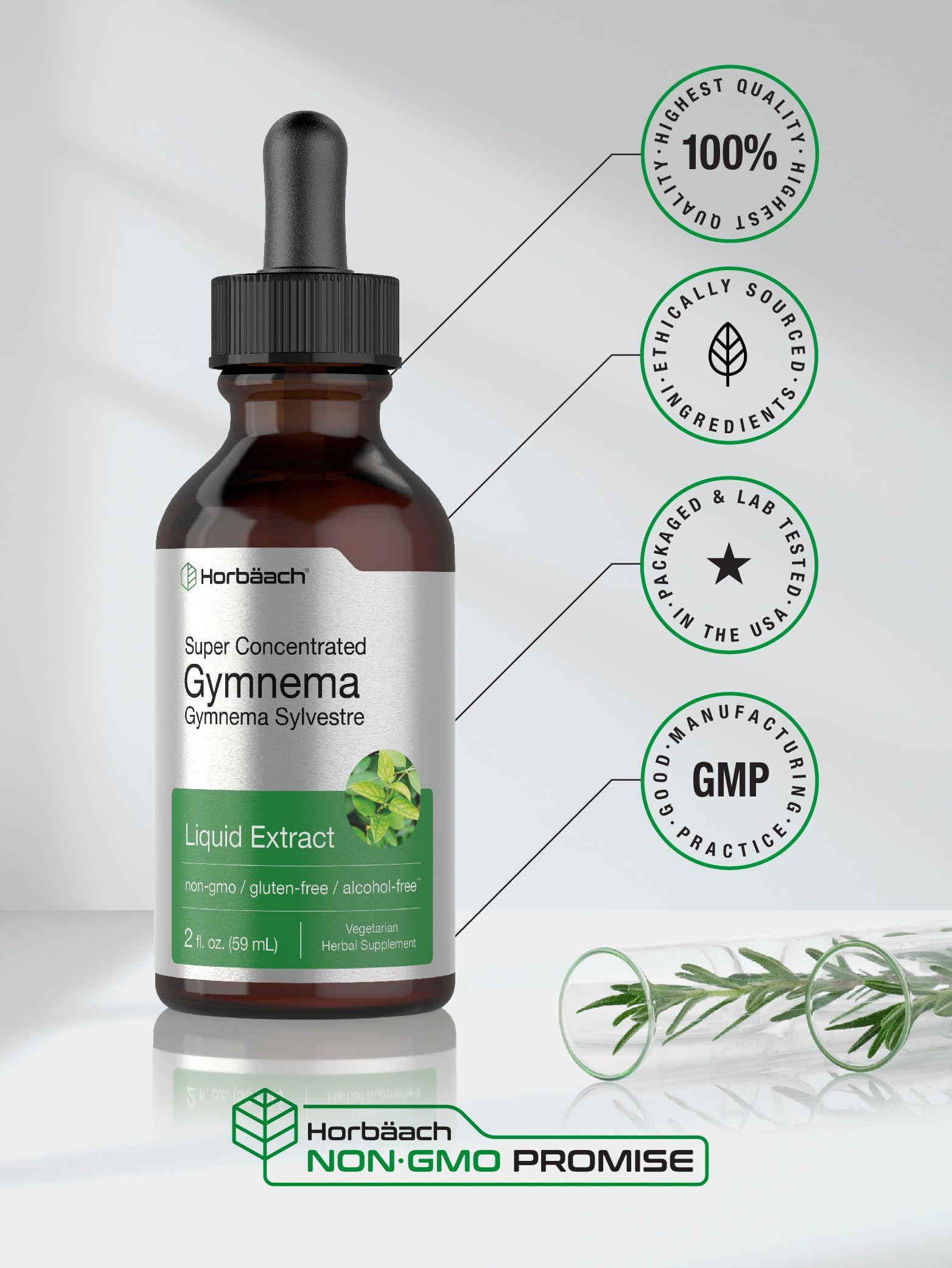 Gymnema Sylvestre Liquid | 2 fl oz | Alcohol Free Supplement | Super Concentrated HorbäachAu supplements