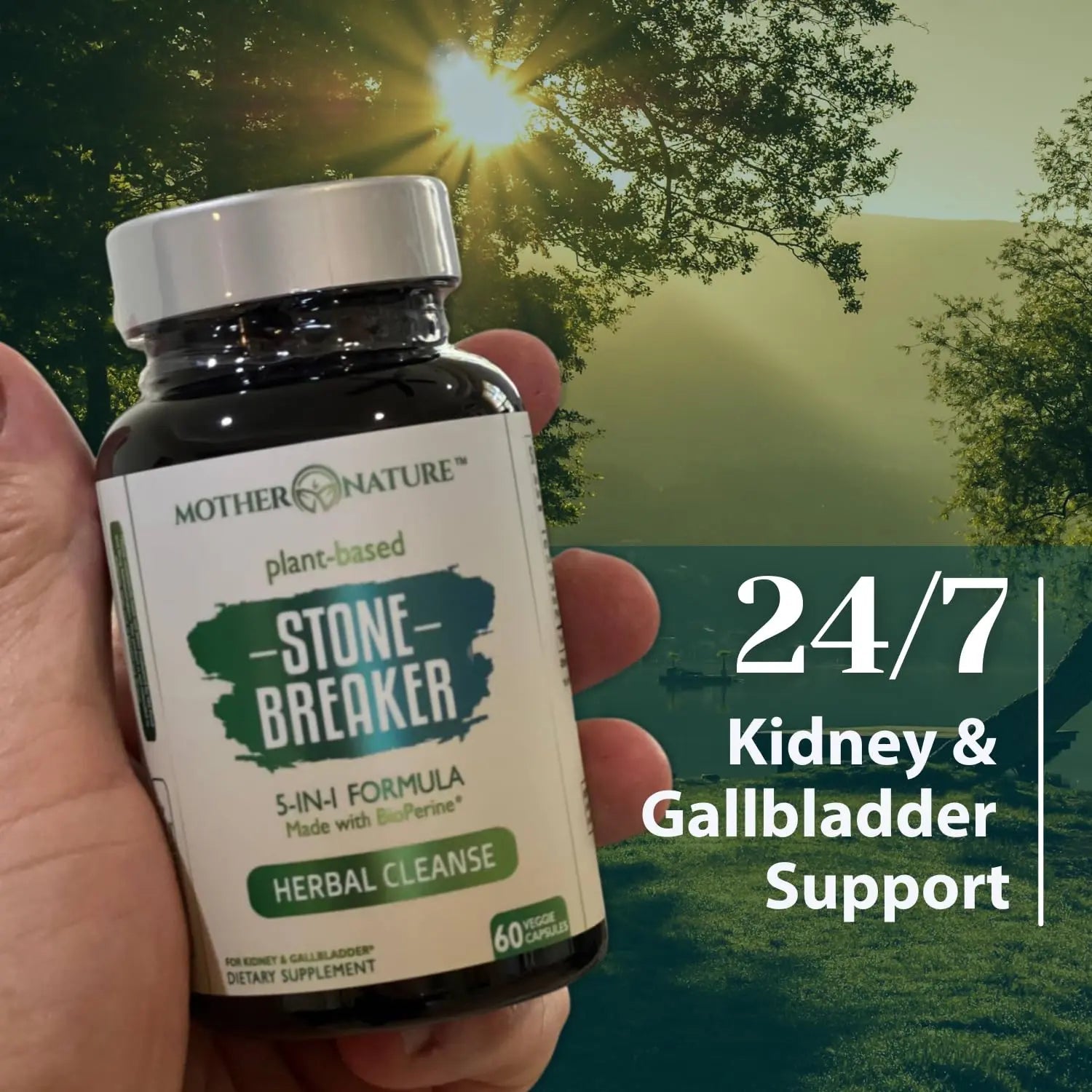 Stone Breaker Chanca Piedra Capsules, Dissolve Kidney & Gallbladder, Detoxify Urinary Tract, Flush Impurities, Kidney Support with Celery Seed Extract - 60 Veg Capsules Mother Nature Organics Superfoods for Organic LivingAu supplements