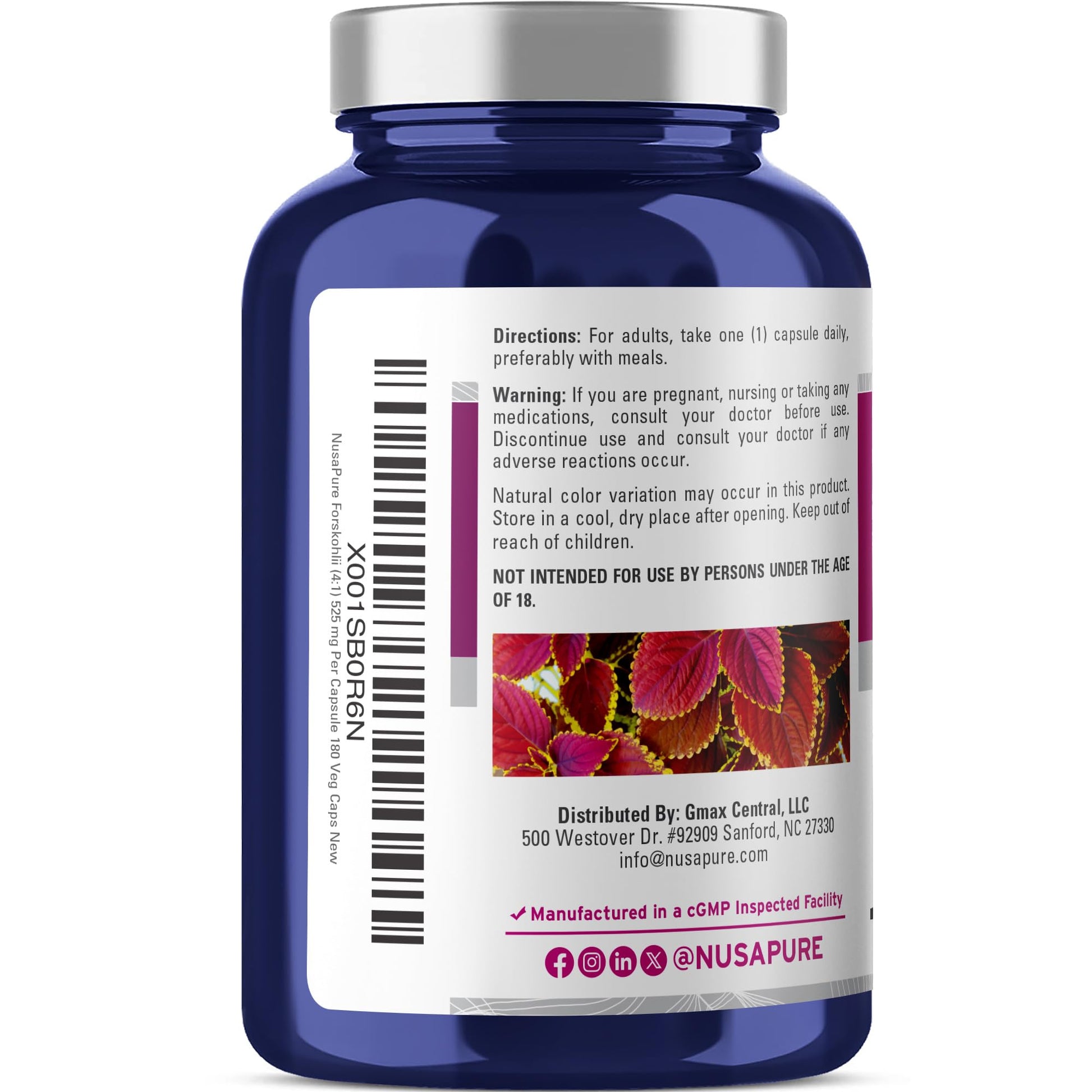 NusaPure Forskohlii 4:1 Extract, 525 mg Equivalent to 21,00 mgper Veggie Caps - 180 Capsules (Non-GMO, Vegan & Gluten Free) NusaPureAu supplements