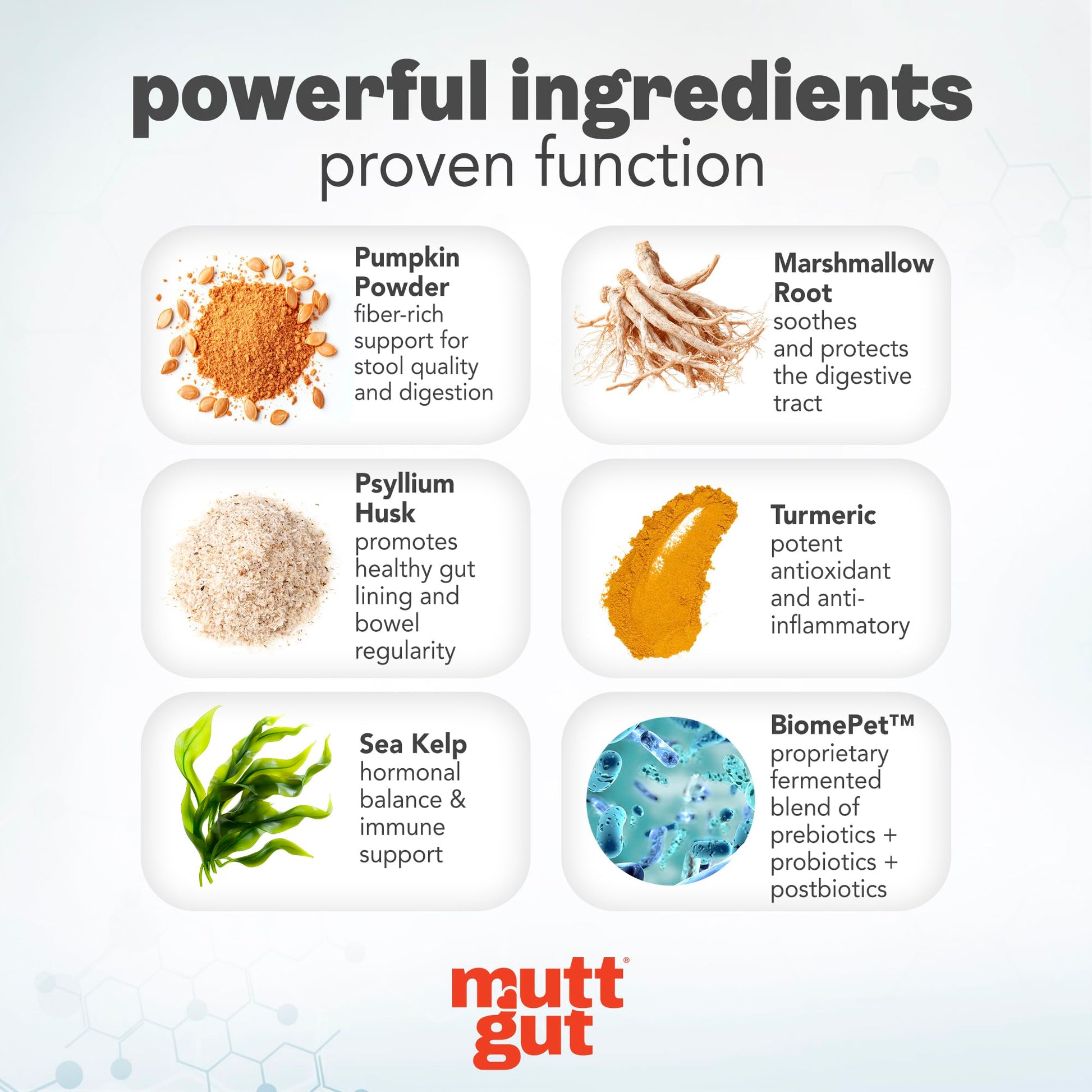 MuttGut® 3-in-1 Puppy & Dog Probiotics + Prebiotics + Postbiotics Chews - Promotes Digestive Health, Supports Immune System and Overall Health - Dog Diarrhea Relief & Immune Support - 60 Soft Chews MUTTGUTAu supplements