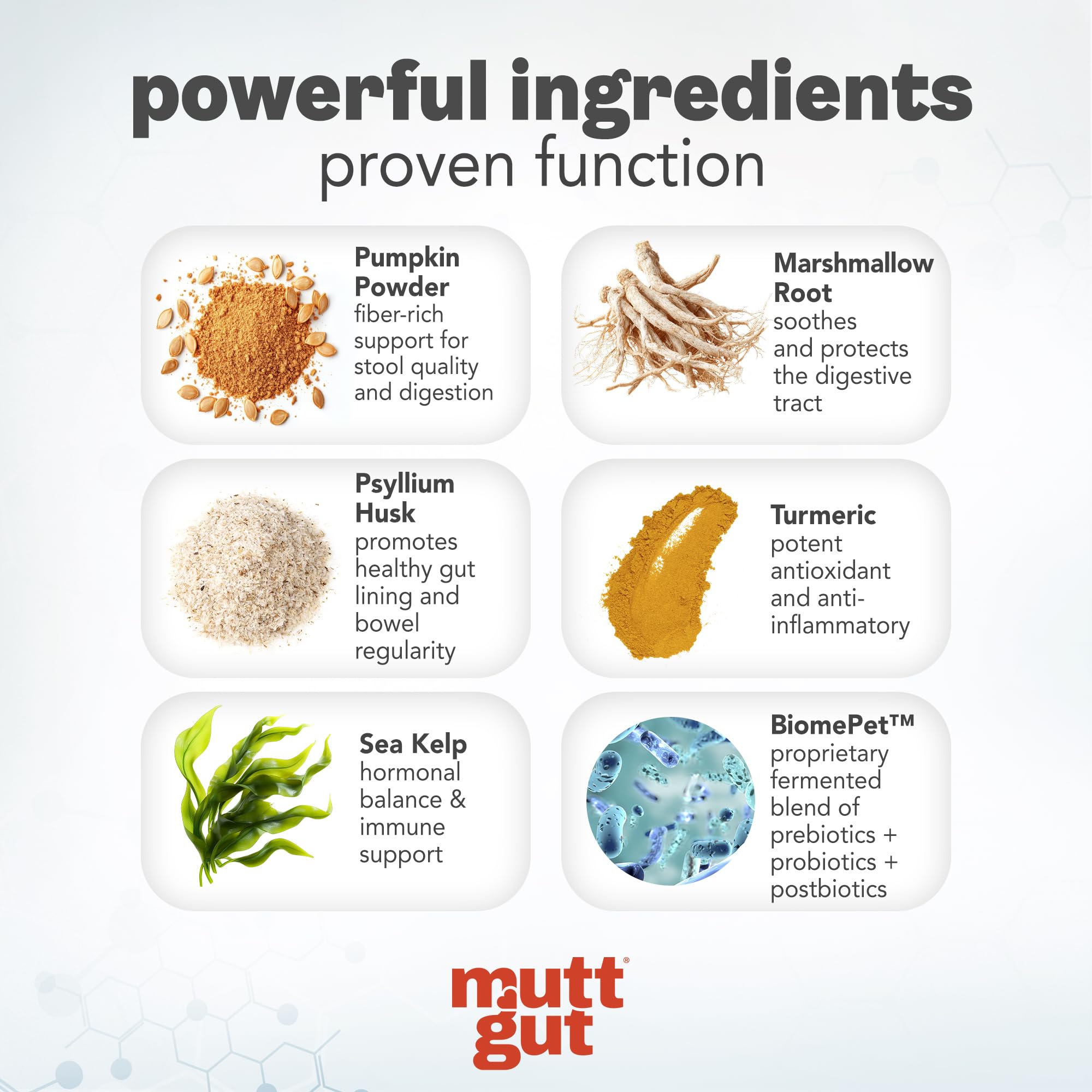 MuttGut® 3-in-1 Puppy & Dog Probiotics + Prebiotics + Postbiotics Chews - Promotes Digestive Health, Supports Immune System and Overall Health - Dog Diarrhea Relief & Immune Support - 60 Soft Chews MUTTGUTAu supplements