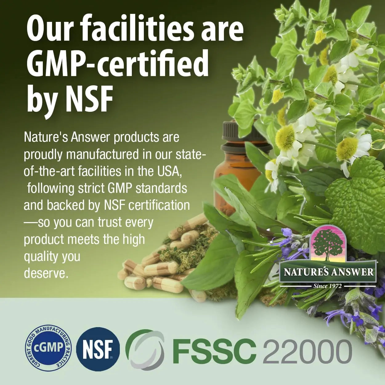 Nature's Answer Women's 100, Multivitamin, 60 Vegetarian Capsules Nature's AnswerAu supplements
