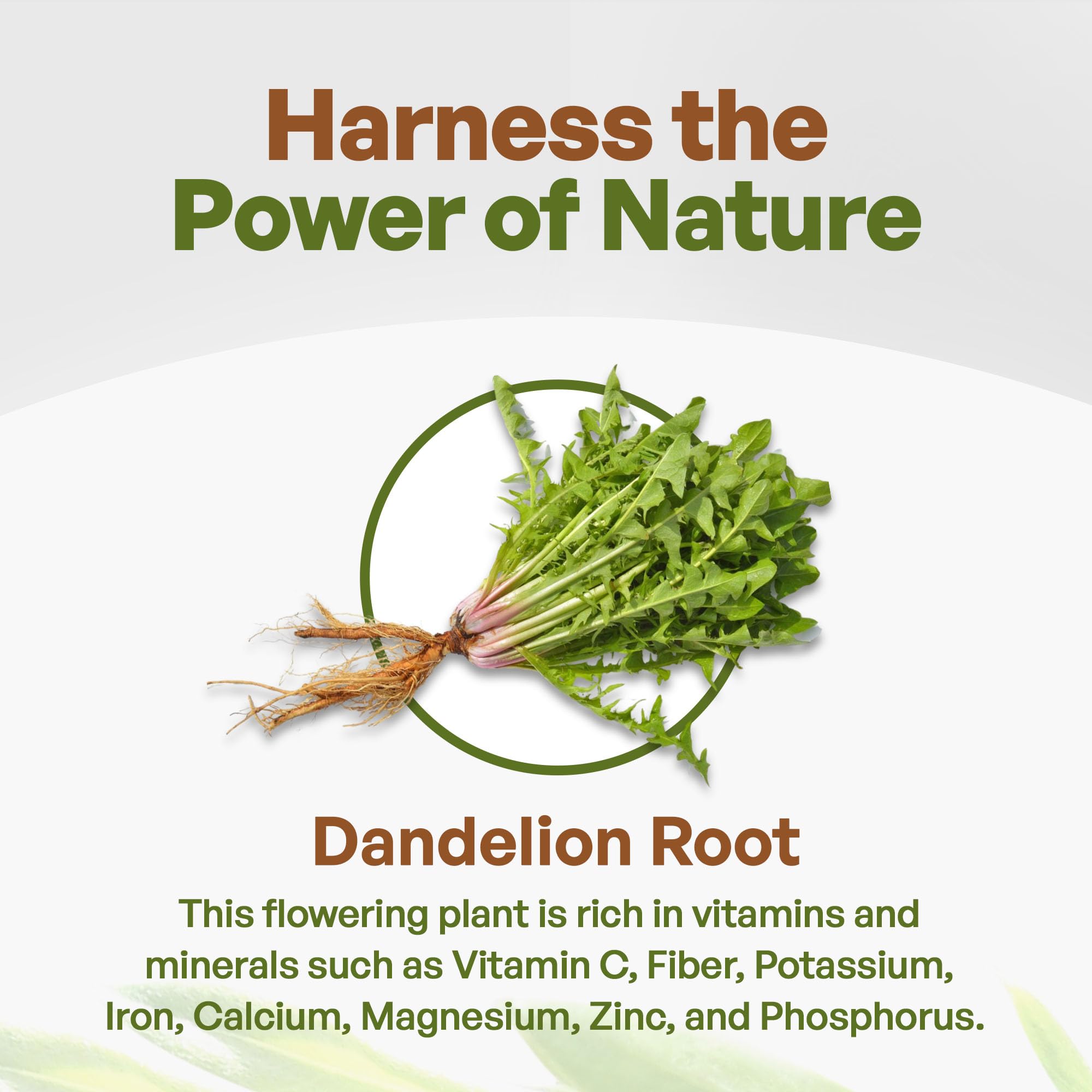Go Nutra - Dandelion Root Powder, Potent 10:1 Dandelion Root Extract with 4% Flavonoids Go NutraUS supplements