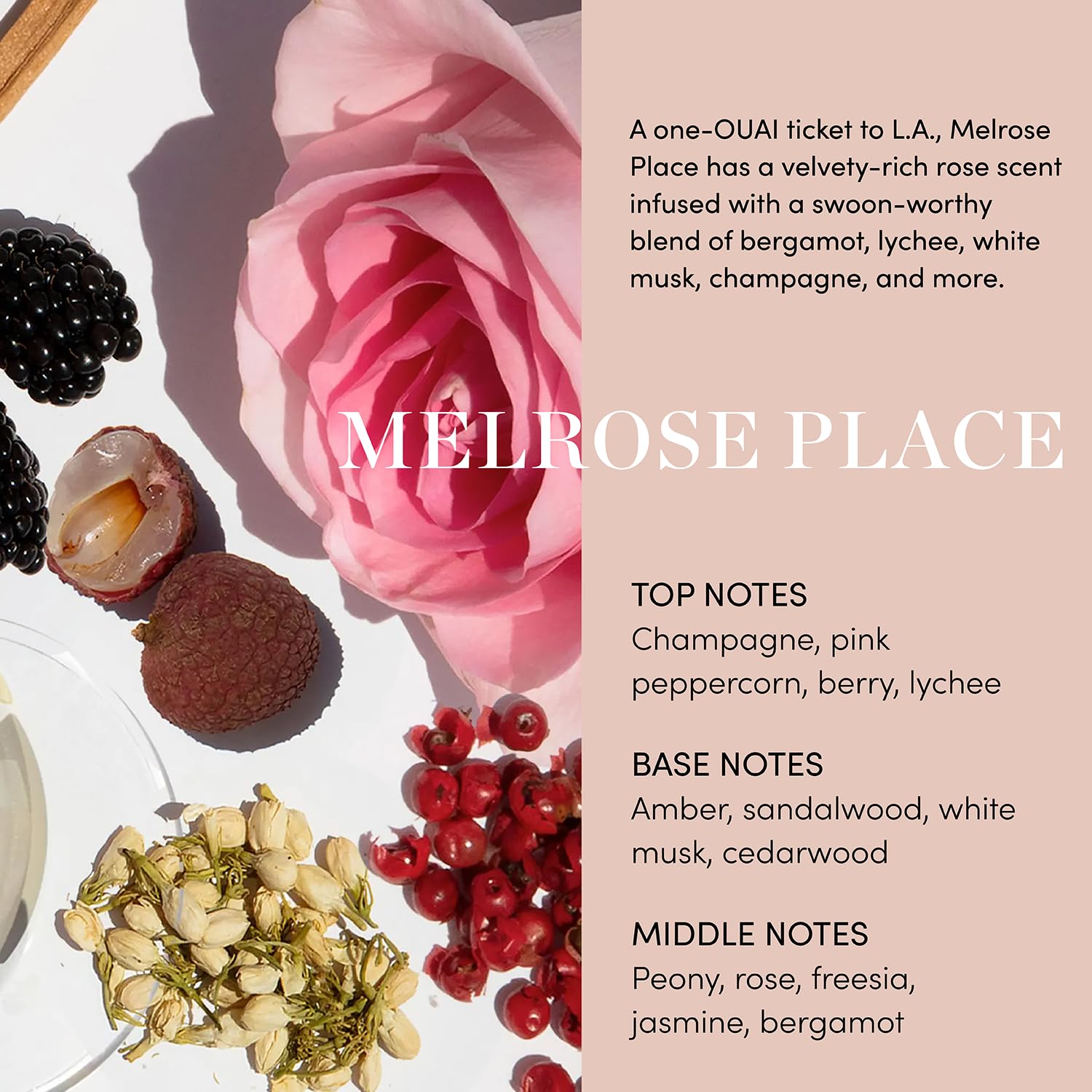 OUAI Body Cleanser, Melrose Place - Foaming Body Wash with Jojoba Oil and Rosehip Oil to Hydrate, Nurture, Balance and Soften Skin - Paraben, Phthalate and Sulfate Free Skin Care Products (10 Fl Oz) OUAIAu supplements