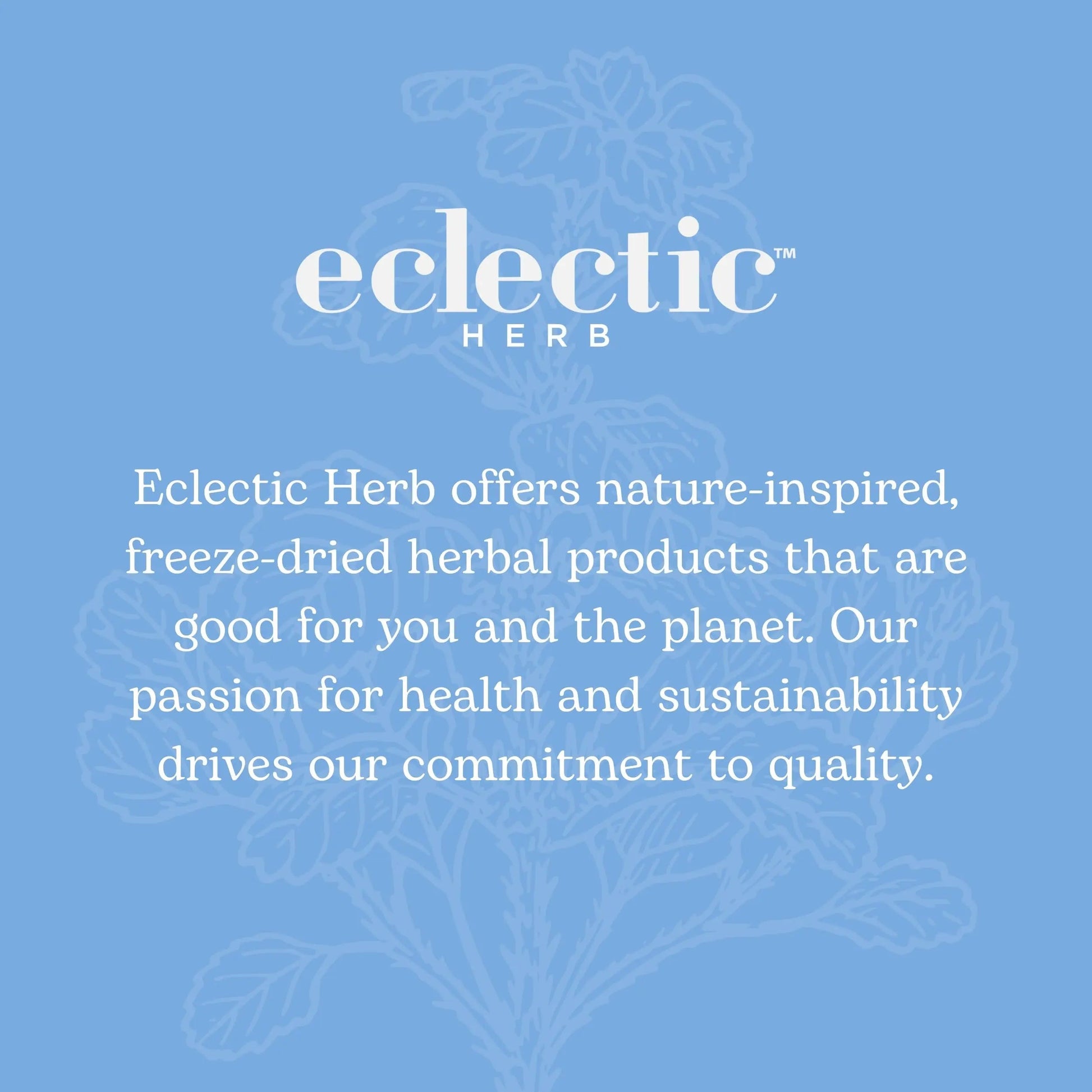 Eclectic Institute Stone Root O 2 Ounce ECLECTIC INSTITUTEAu supplements