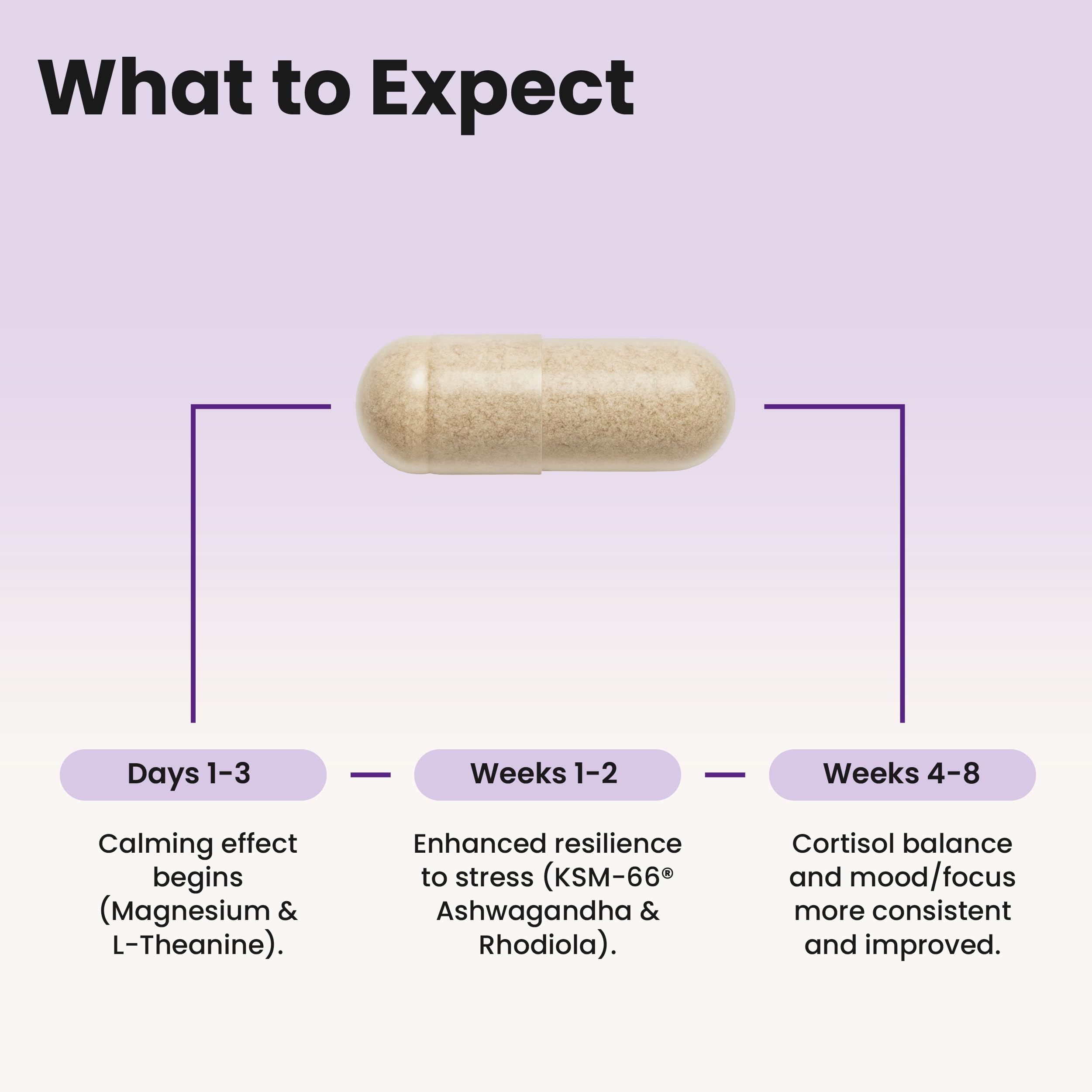 WellPath Soothe Cortisol Manager - Cortisol Supplements for Women with KSM-66® Ashwagandha & L-Theanine - Stress Support, Detox - 11-in-1 Complex, Vegan, Made in USA, Non-GMO, 60 Ct WellPathAu supplements