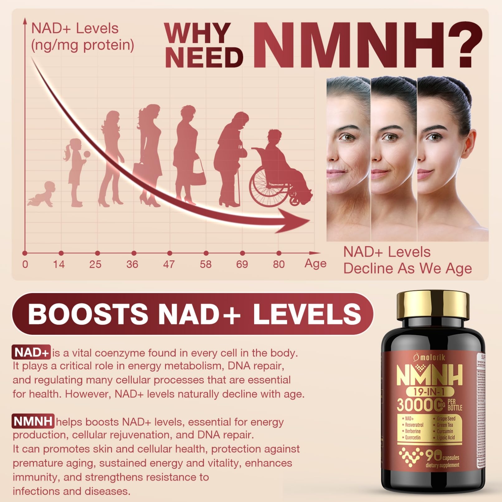 19 in 1 NMNH (Dihydronicotinamide Mononucleotide) 1000mg Per Serving, Nad Supplement Boost NAD+ Levels Nad Resveratrol Supplement with Quercetin, Vitamin D3 K2, Healthy Aging, Energy, 90 Capsules molorik pureAu supplements
