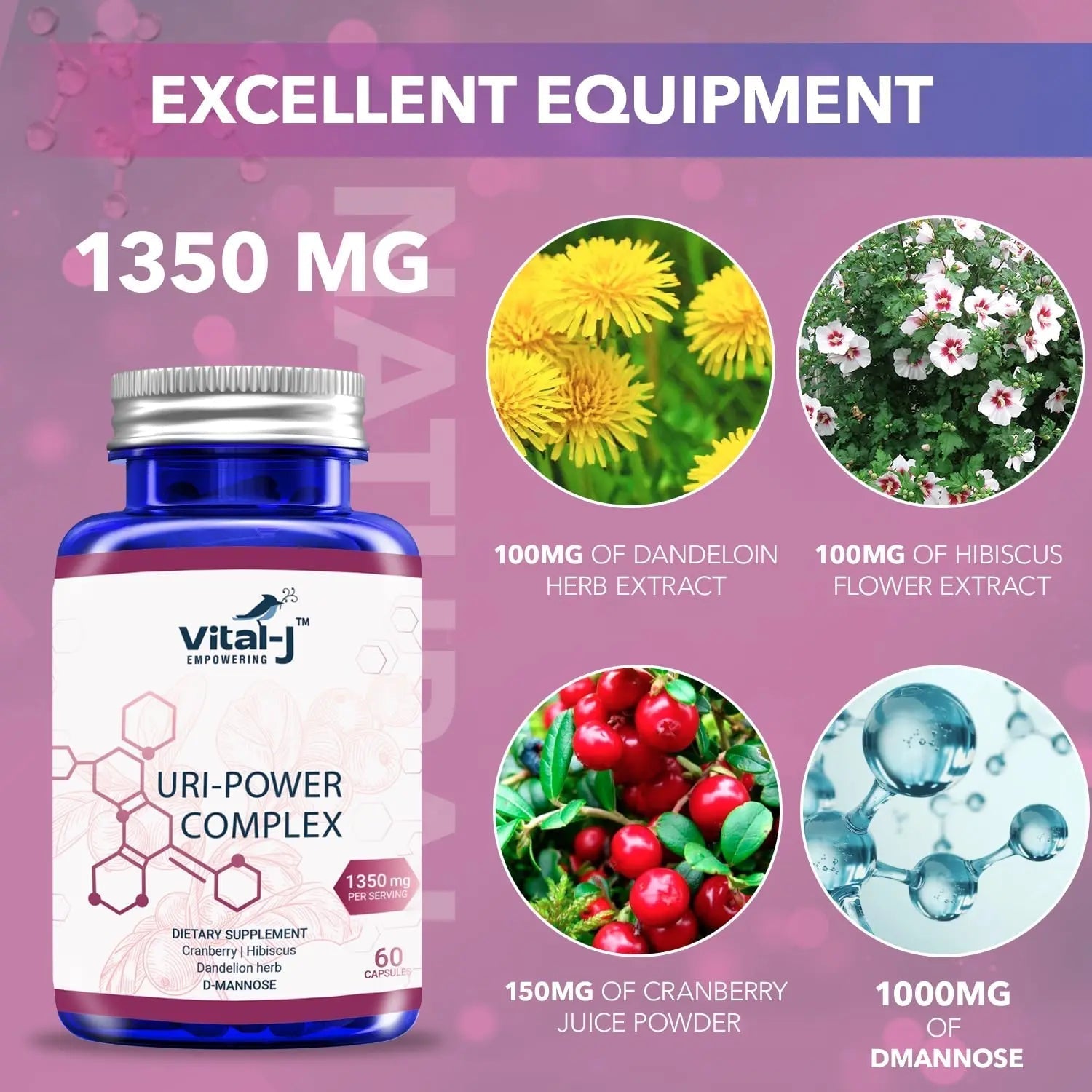 4-IN-1 URI POWER COMPLEX 1350mg - D Mannose, Cranberry, Hibiscus, and Dandelion Herb - Naturally Cleanse the Bladder and Urinary Tract 60 capsules – Specialized Approach for UTI Avoidance Vital-J EmpoweringAu supplements