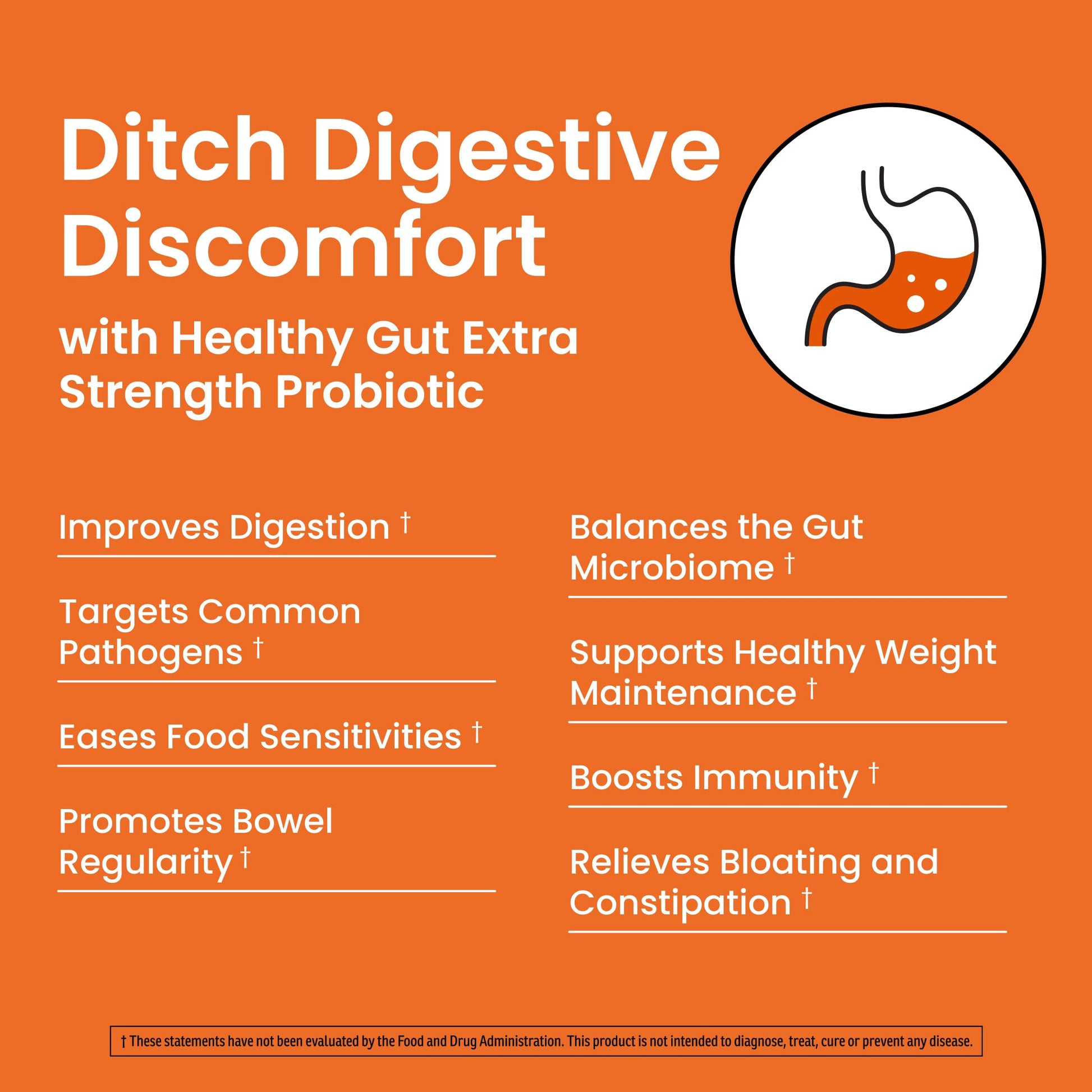 Ombre Healthy Gut Probiotics for Digestive Health 100 Billion CFU - Prebiotics and Probiotics for Women & Men with Lactobacillus Acidophilus & Digestive Enzymes, Gut Health Support, Vegan, 30 Servings OmbreAu supplements