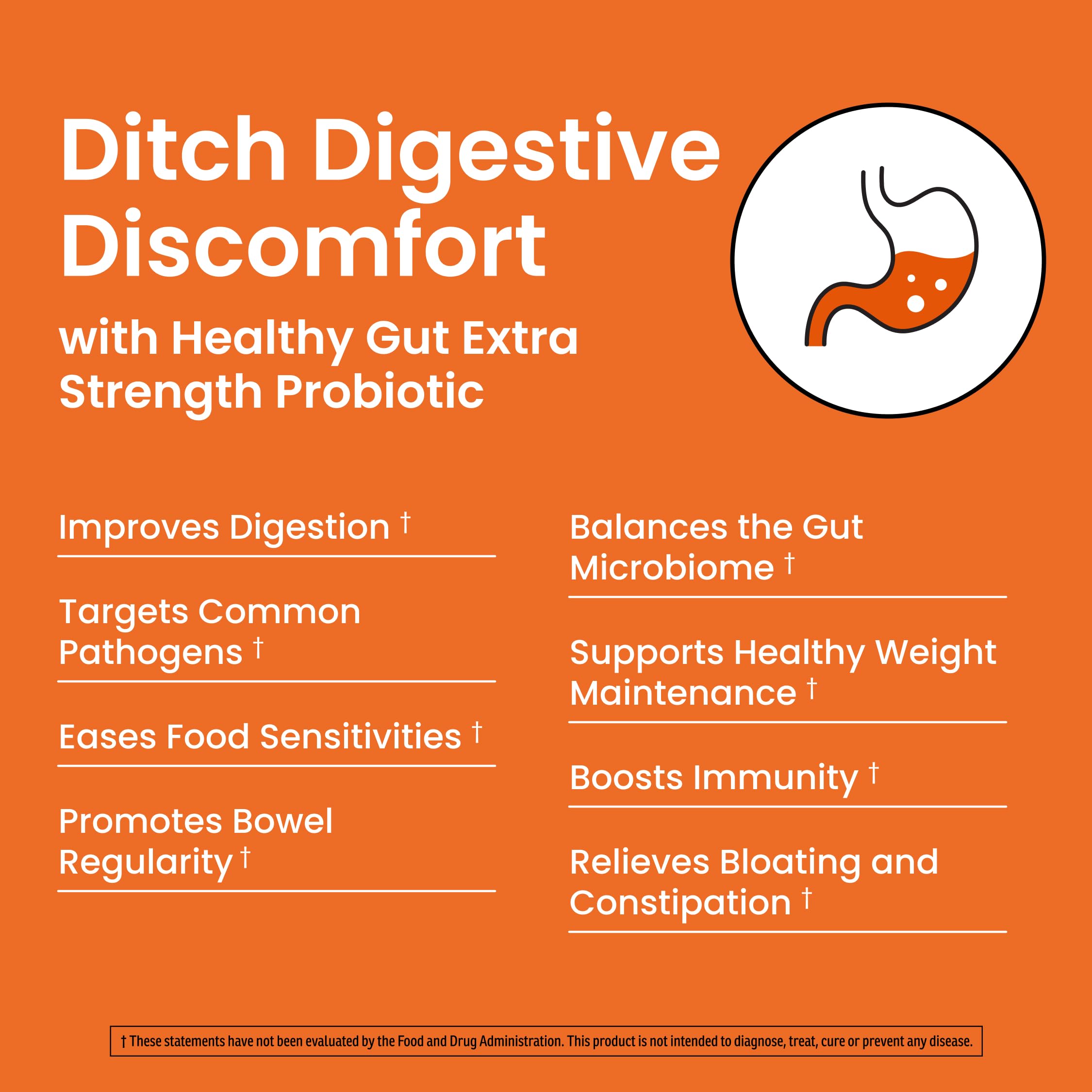 Ombre Healthy Gut Probiotics for Digestive Health 100 Billion CFU - Prebiotics and Probiotics for Women & Men with Lactobacillus Acidophilus & Digestive Enzymes, Gut Health Support, Vegan, 30 Servings OmbreAu supplements