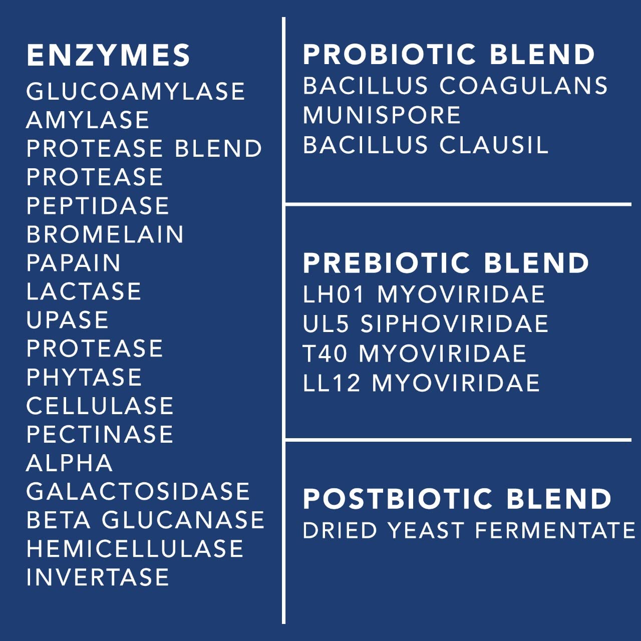 4-in-1 Prebiotic Probiotic & Postbiotic for Women & Men, Complete Gut & Digestive Support PLANT.O NUTRITIONUS supplements