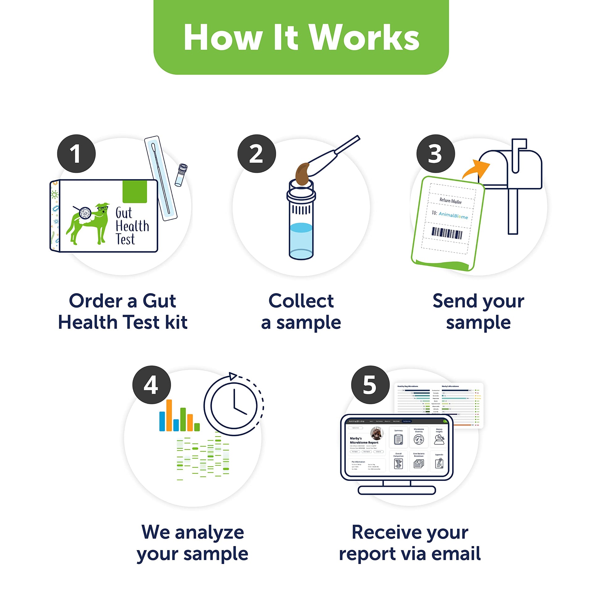 AnimalBiome Dog Gut Health Test – DoggyBiome At Home Stool Testing Kit, Canine Fecal Analysis for Digestive Issues, Diarrhea & Allergy Insights w/Personalized Report & Custom Plan (Dogs in US) AnimalBiomeAu supplements