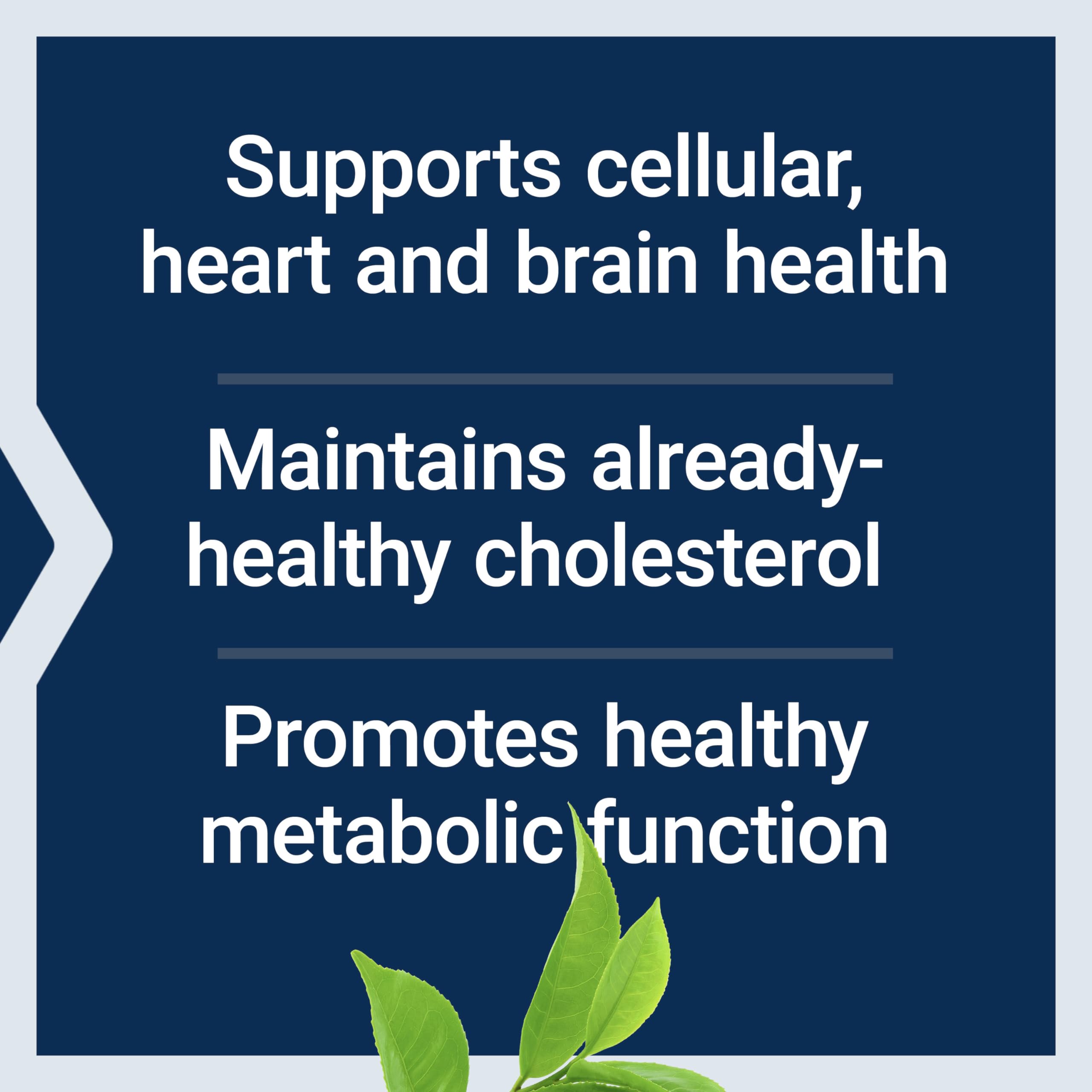 Life Extension Decaffeinated Mega Green Tea Extract – Polyphenol-Rich, Cell Health Life ExtensionAu supplements